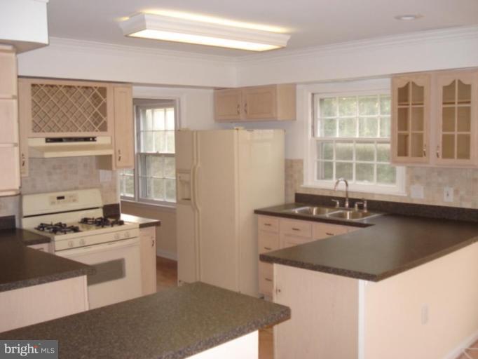 121 Randolph Road Silver Spring, MD 20904 - Photo 11 of 30 Kitchen
