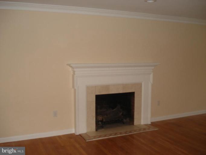121 Randolph Road Silver Spring, MD 20904 - Photo 8 of 30 Fireplace