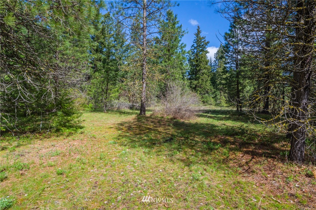11 Old Cedars Road Cle Elum, WA 98922 - Photo 4 of 11