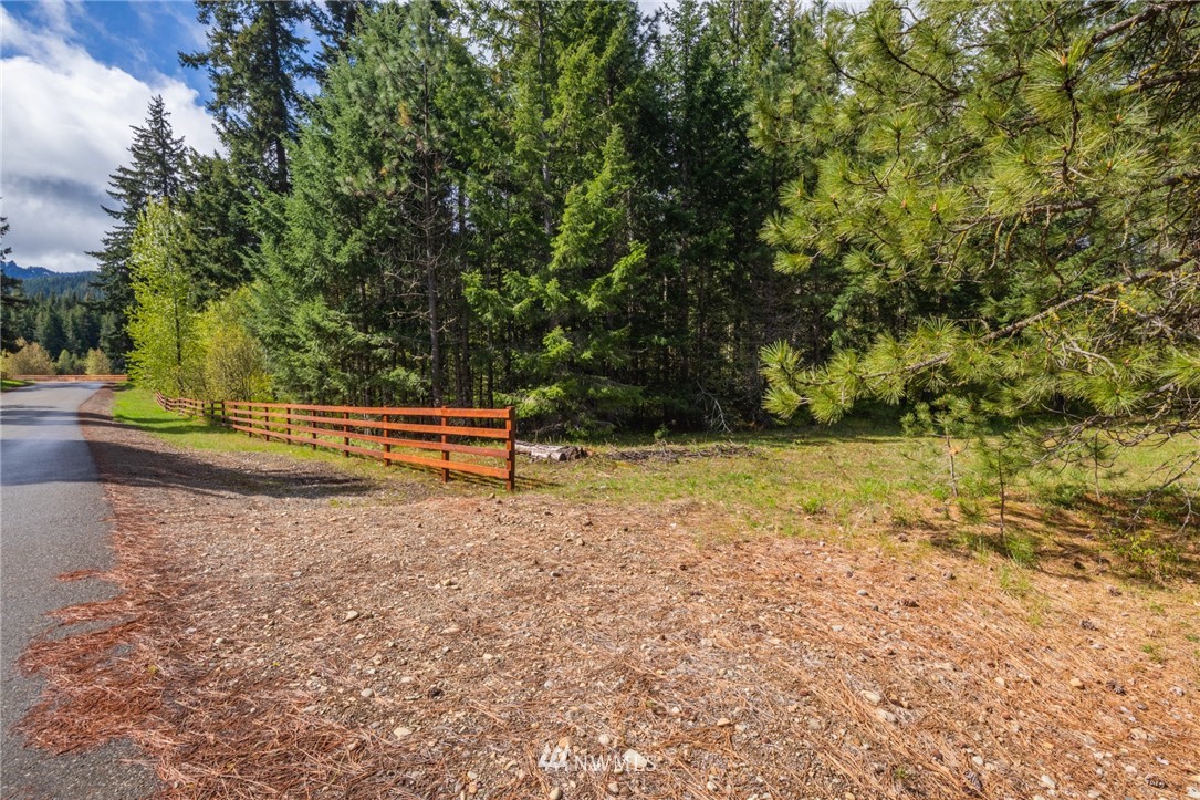 11 Old Cedars Road Cle Elum, WA 98922 - Photo 6 of 11
