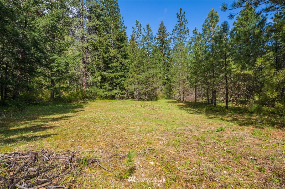 11 Old Cedars Road Cle Elum, WA 98922 - Photo 7 of 11