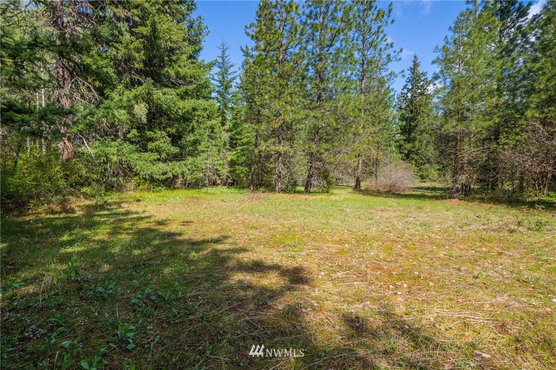 11 Old Cedars Road Cle Elum, WA 98922 - Photo 8 of 11