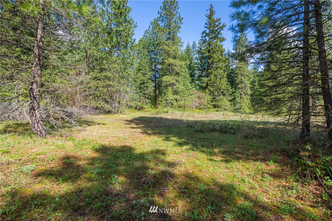 11 Old Cedars Road Cle Elum, WA 98922 - Photo 10 of 11