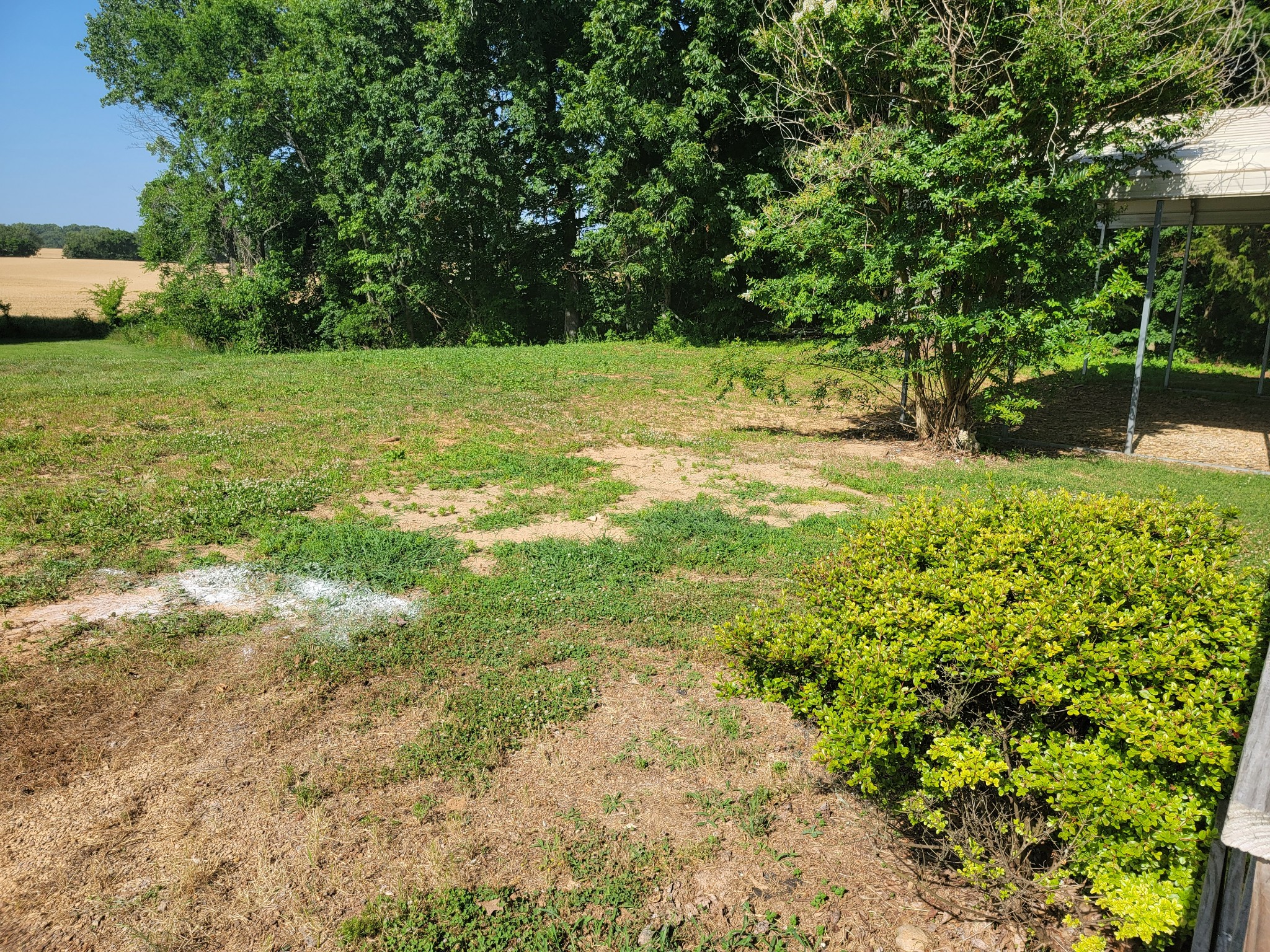 5814 Wayman Dunn Road Springfield, TN 37172 - Photo 50 of 65 a view of a field with a tree