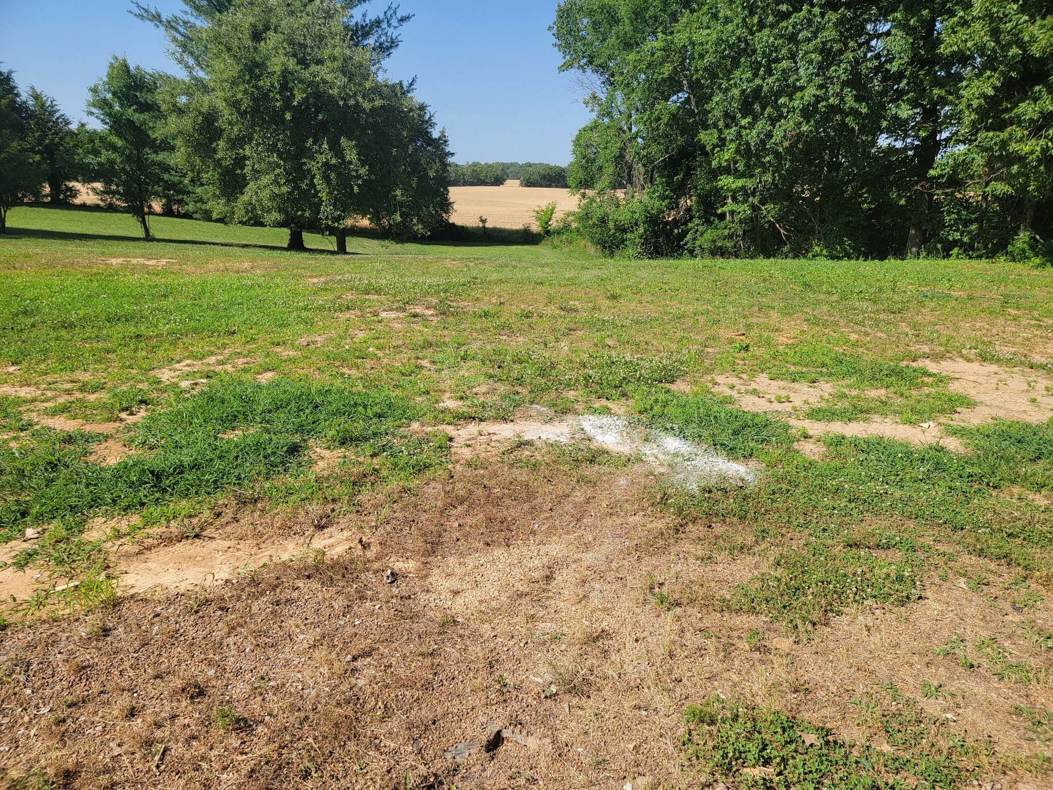 5814 Wayman Dunn Road Springfield, TN 37172 - Photo 51 of 65 a view of a field with trees
