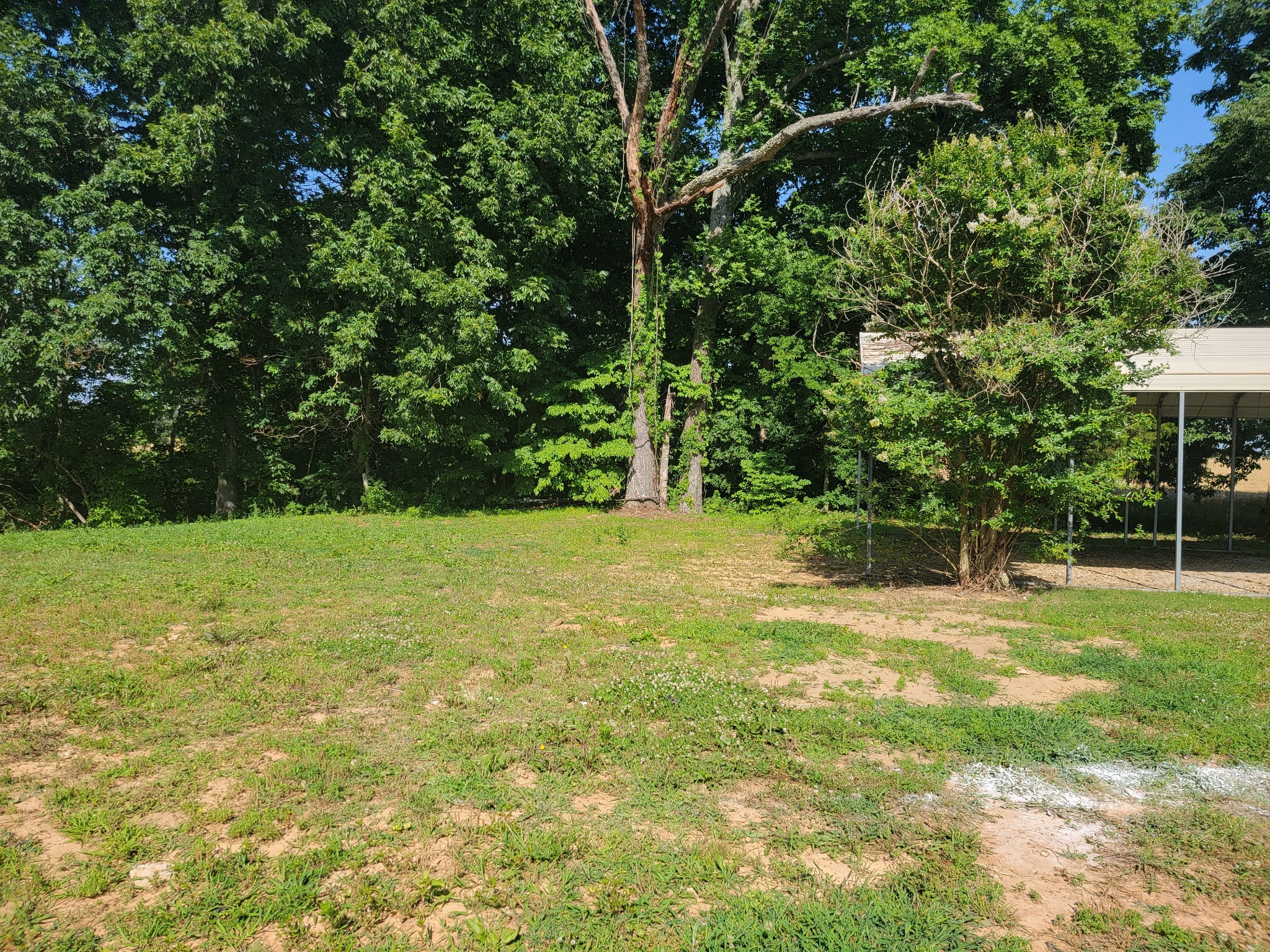 5814 Wayman Dunn Road Springfield, TN 37172 - Photo 57 of 65