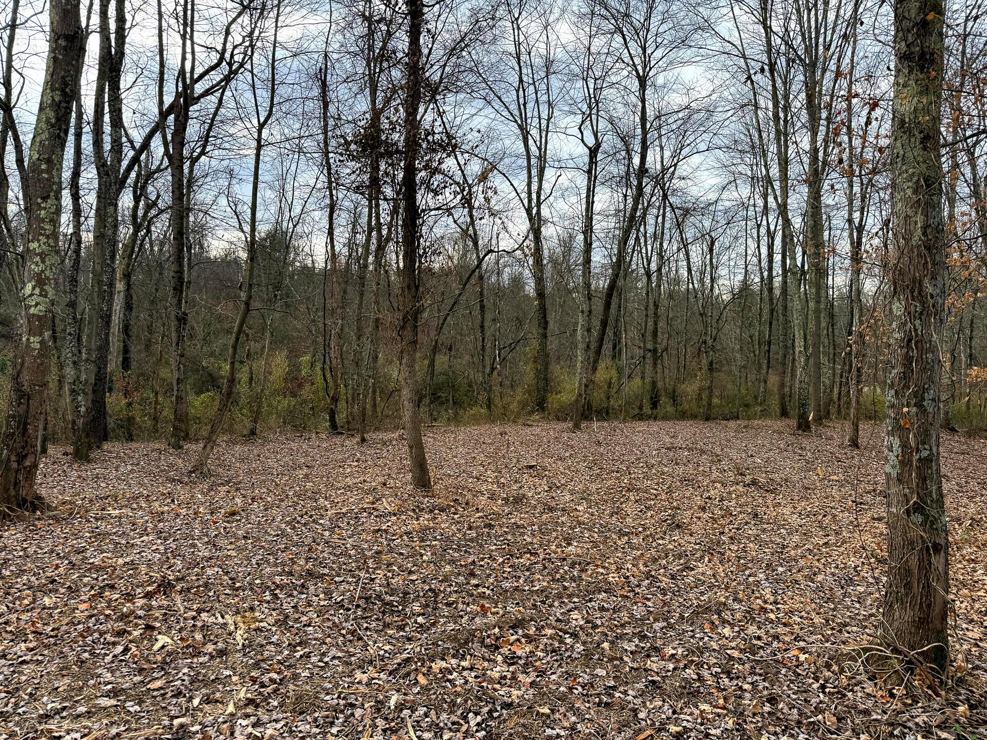 0 Dutch Ridge Road Southeast, Unit WOODS TURKEY RUN TRACT 1) New Lexington, OH 43764 - Photo 9 of 43 CT-9