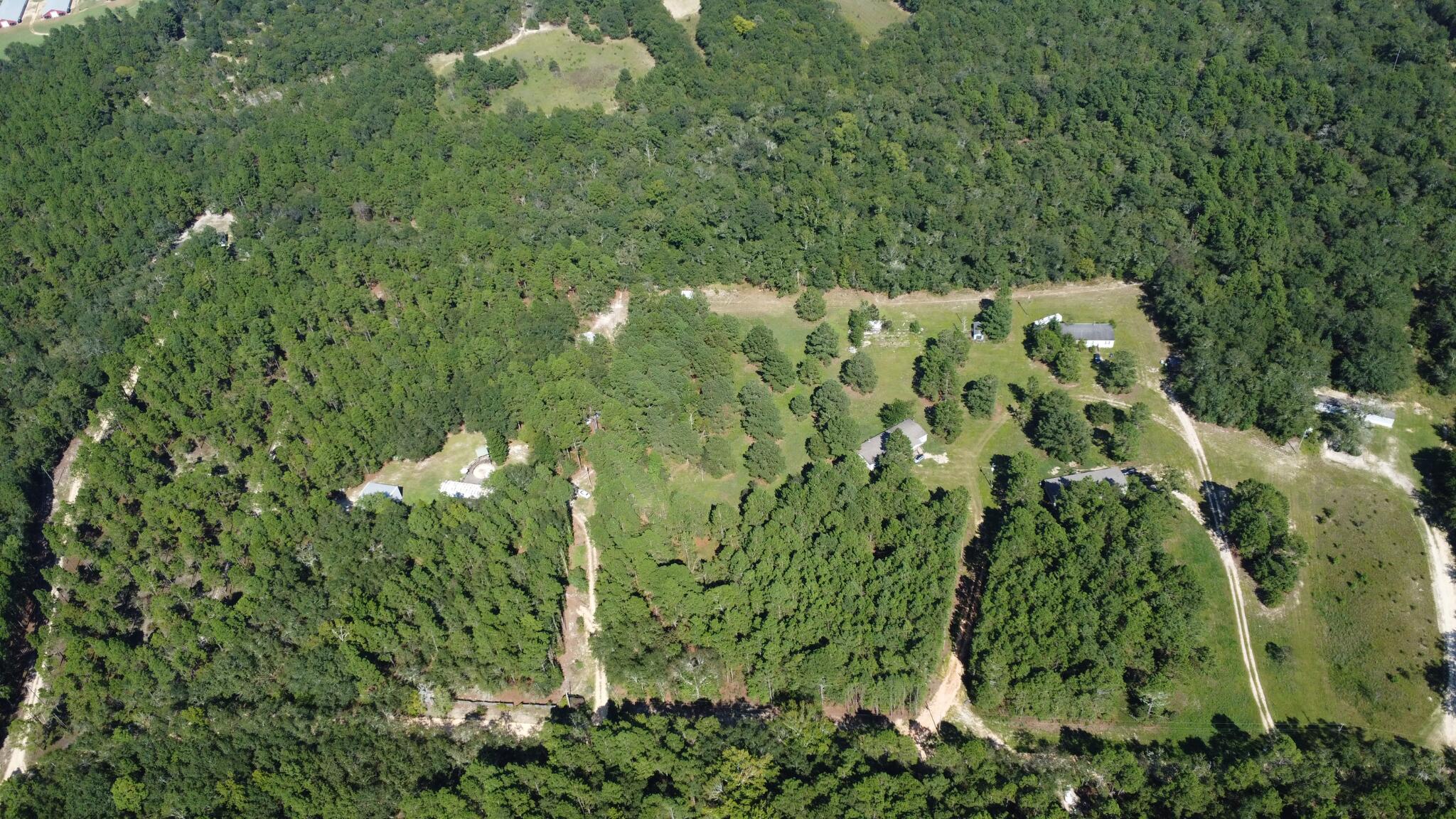 Tbd Bubba Gunter Road Wagener, SC 29164 - Photo 4 of 10