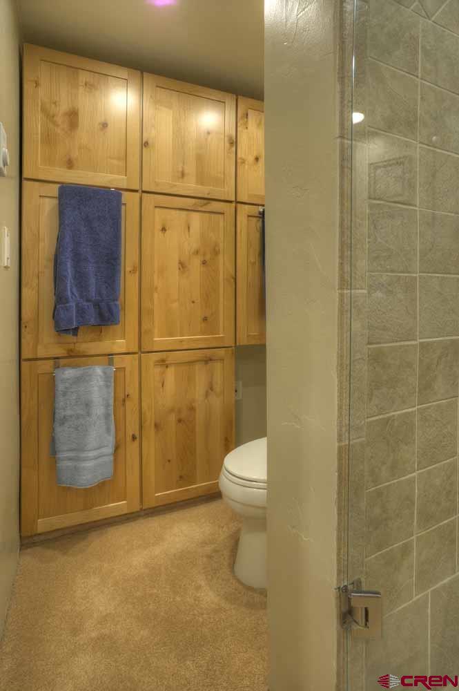 322 Sheol Street, Unit 7 Durango, CO 81301 - Photo 22 of 35 a bathroom with a toilet