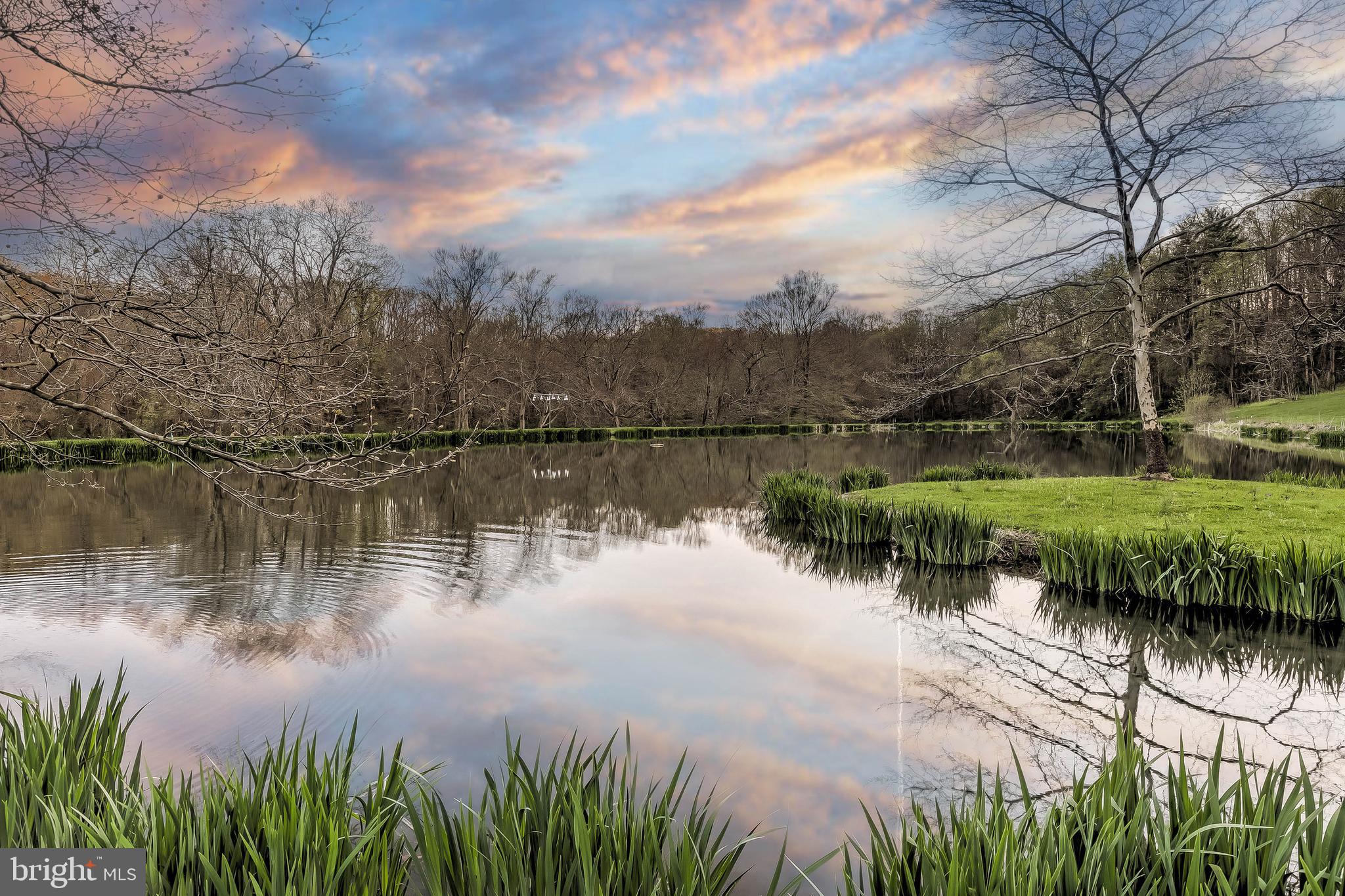 1449 Corbett Road Monkton, MD 21111 - Photo 6 of 34 a body of water with a tree in the background