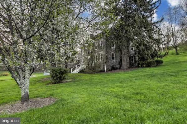 a view of a backyard with large trees
