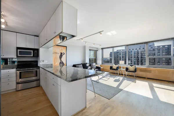 $2,550 | 1255 North Sandburg Terrace, Unit 1207E, Chicago, IL 60610