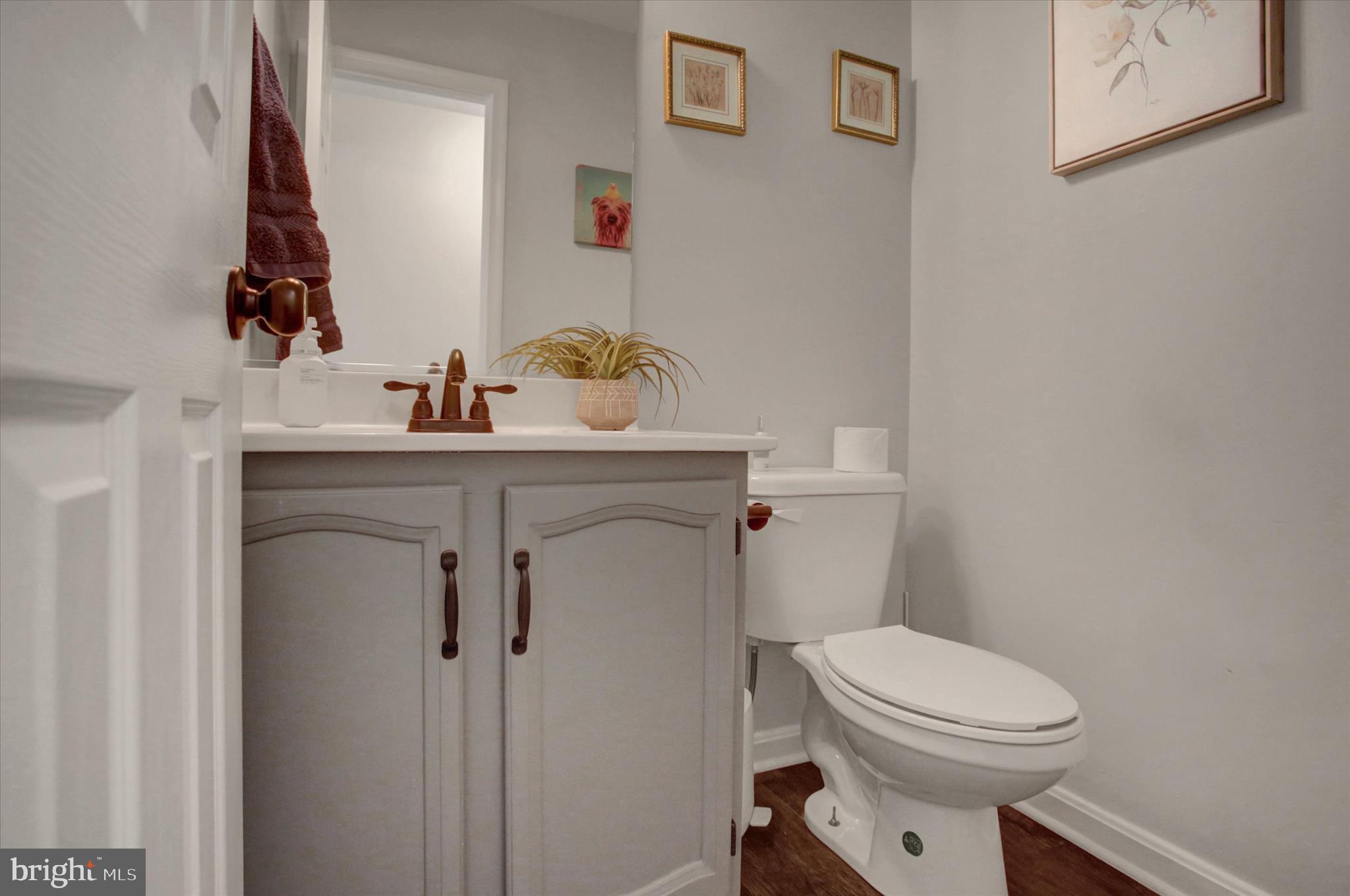 65 Ridgeview Drive Etters, PA 17319 - Photo 24 of 50 a bathroom with a toilet a sink and mirror