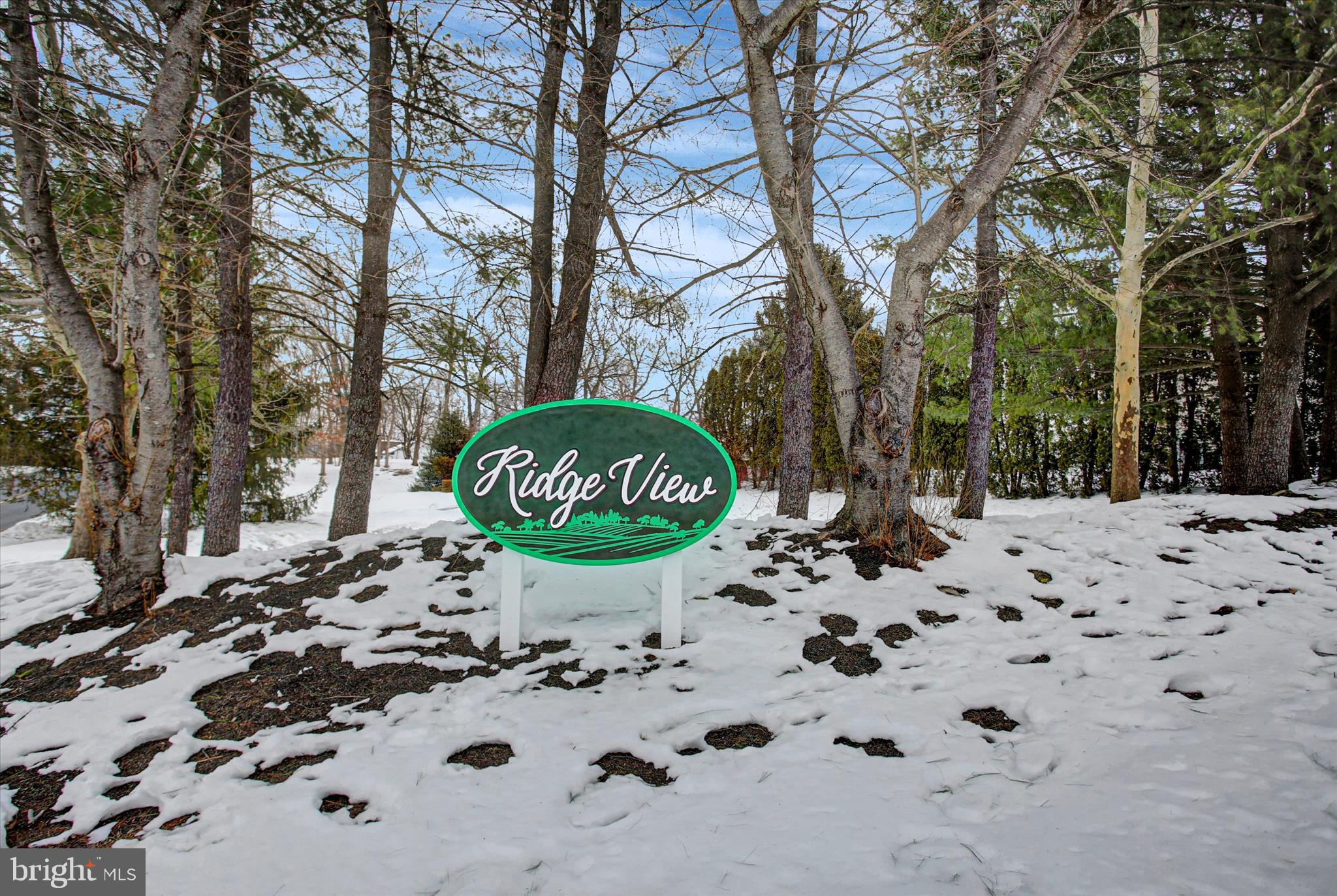 65 Ridgeview Drive Etters, PA 17319 - Photo 48 of 50 a view of a walk in a yard with snow in the background