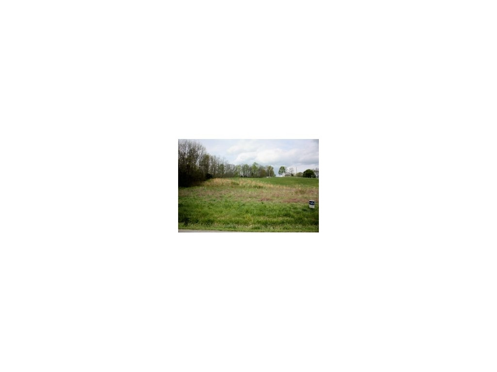 Lot 1-2 Old Snapps Ferry Road Chuckey, TN 37641 - Photo 1 of 12 Photo 1