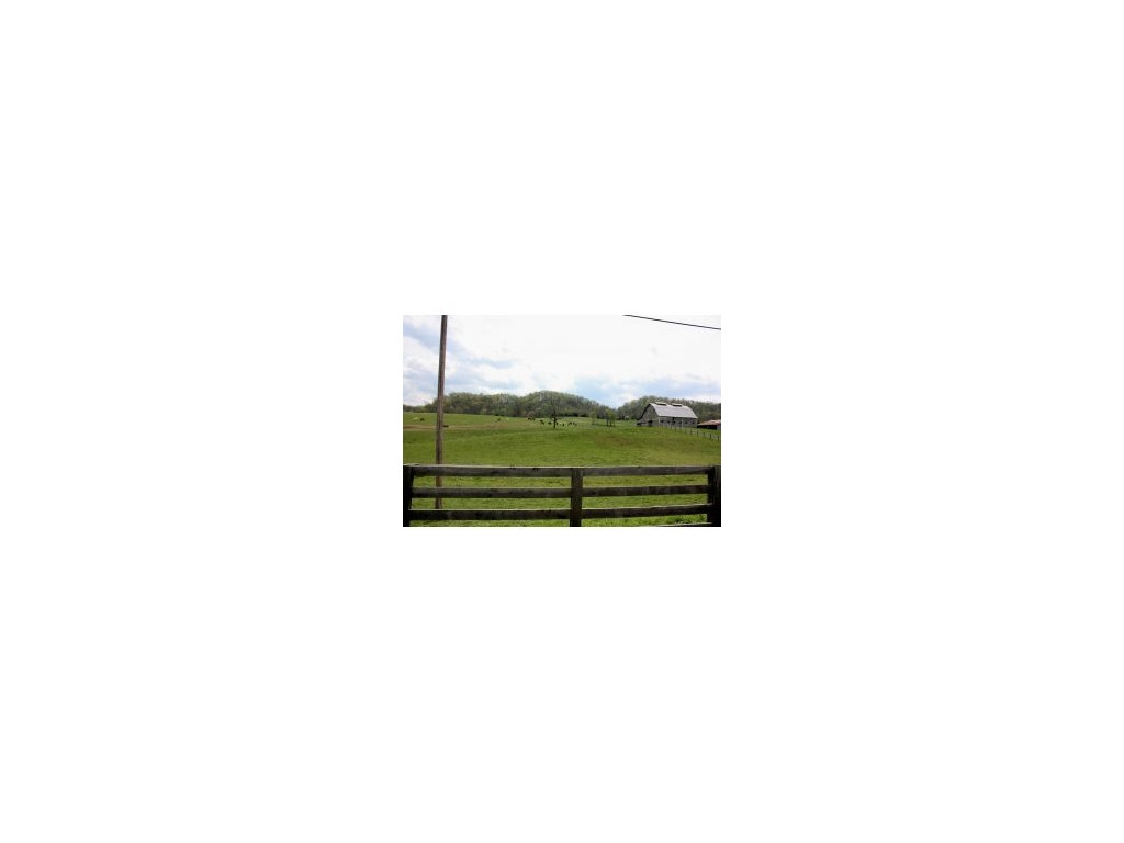 Lot 1-2 Old Snapps Ferry Road Chuckey, TN 37641 - Photo 11 of 12 Photo 11