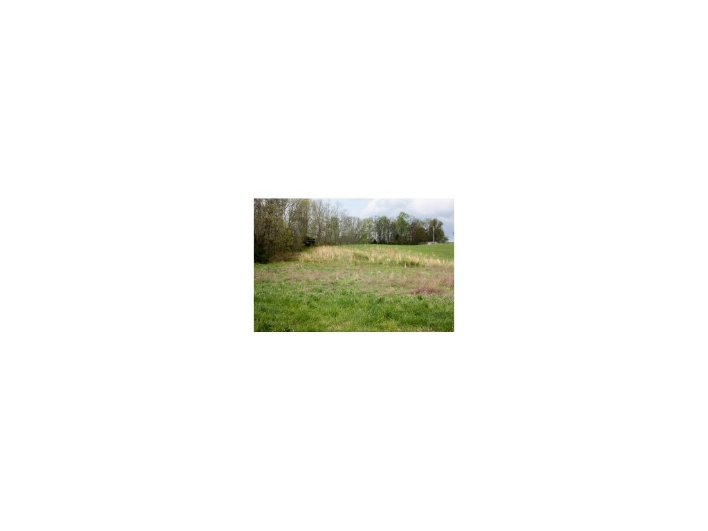 Lot 1-2 Old Snapps Ferry Road Chuckey, TN 37641 - Photo 2 of 12 Photo 2