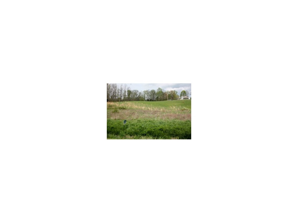 Lot 1-2 Old Snapps Ferry Road Chuckey, TN 37641 - Photo 3 of 12 Photo 3