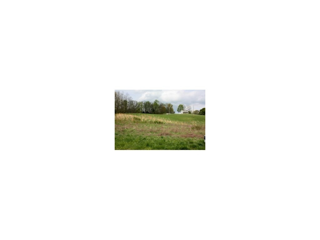 Lot 1-2 Old Snapps Ferry Road Chuckey, TN 37641 - Photo 4 of 12 Photo 4