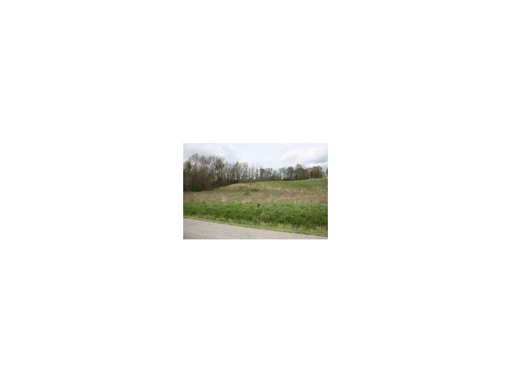 Lot 1-2 Old Snapps Ferry Road Chuckey, TN 37641 - Photo 5 of 12 Photo 5