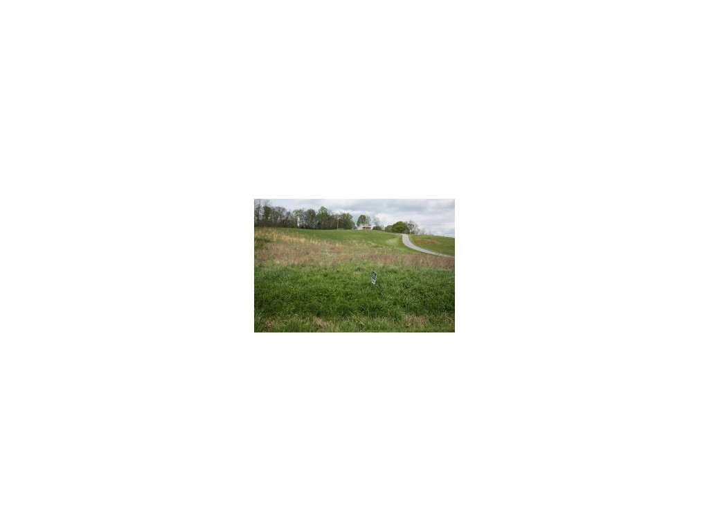 Lot 1-2 Old Snapps Ferry Road Chuckey, TN 37641 - Photo 6 of 12 Photo 6