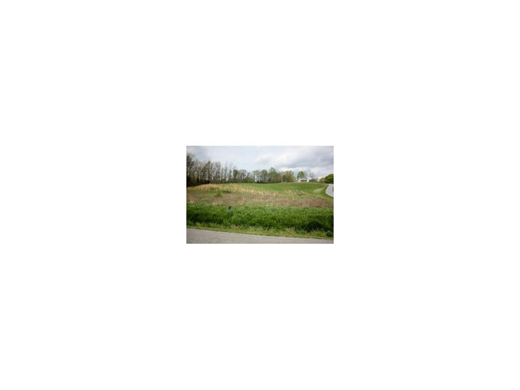 Lot 1-2 Old Snapps Ferry Road Chuckey, TN 37641 - Photo 7 of 12 Photo 7