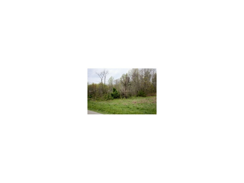 Lot 1-2 Old Snapps Ferry Road Chuckey, TN 37641 - Photo 8 of 12 Photo 8