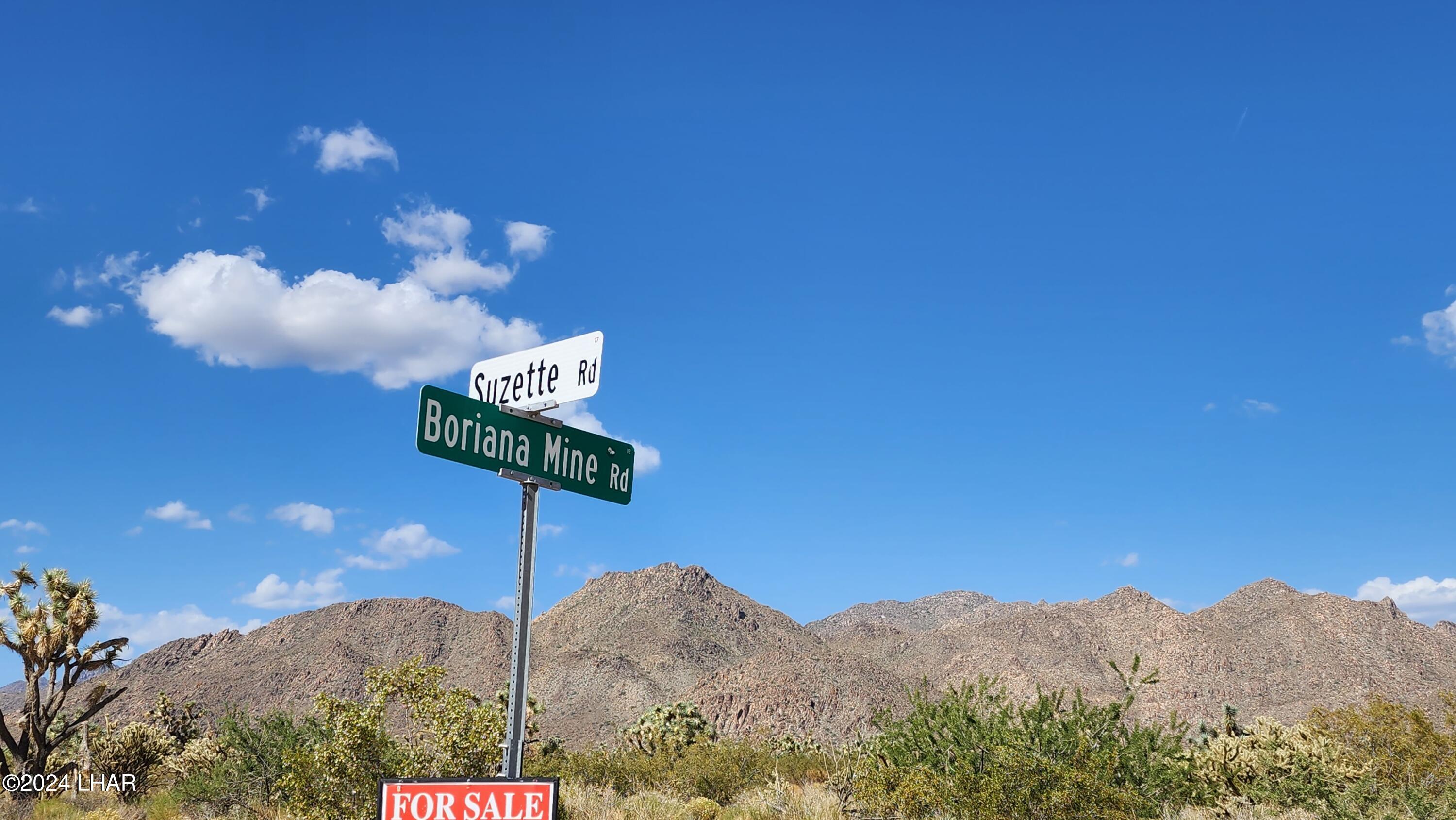 Lot 6 South Carrow Road Yucca, AZ 86438 - Photo 13 of 43 Boriana Mine Rd & Suzette Rd