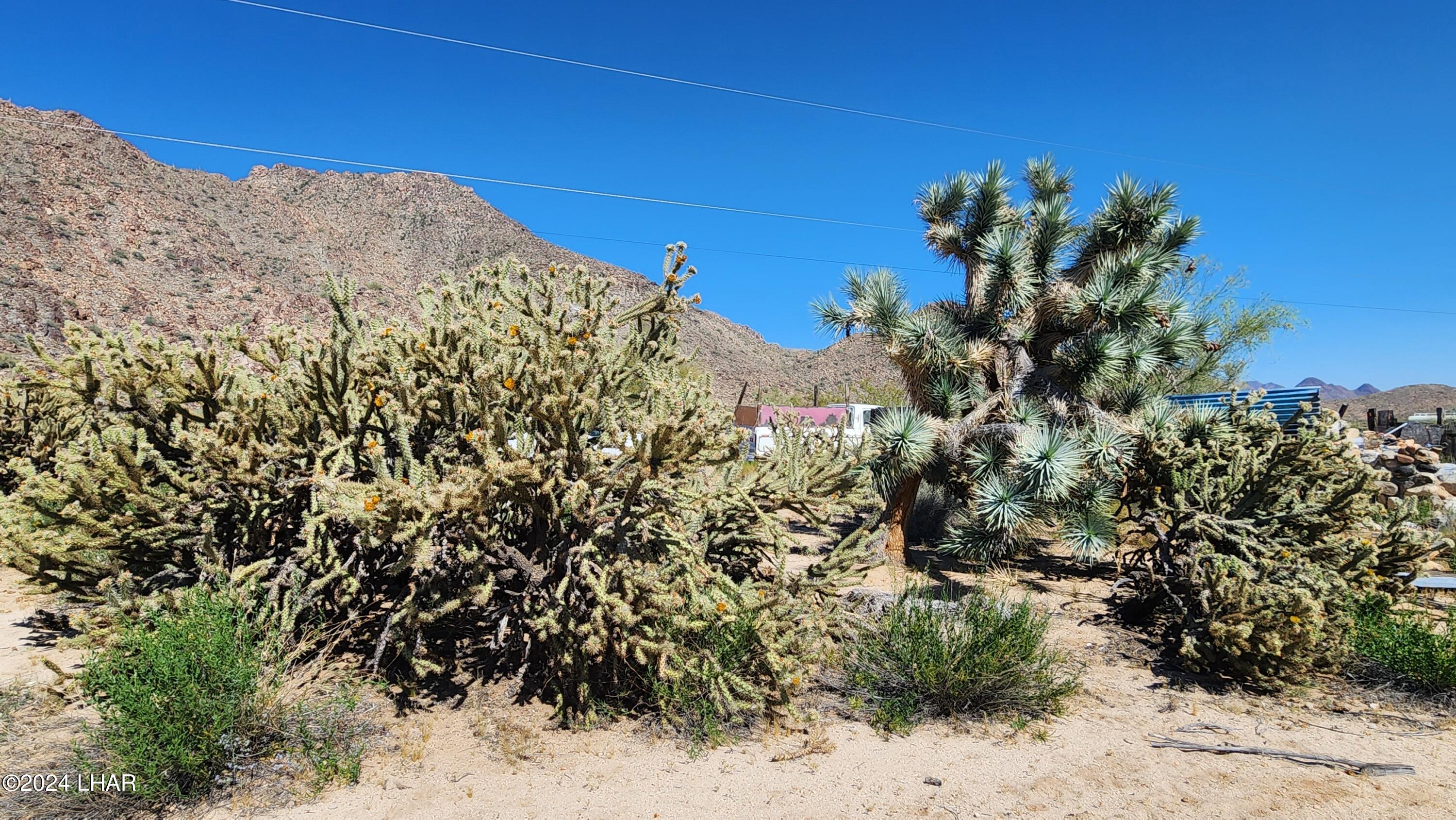 Lot 6 South Carrow Road Yucca, AZ 86438 - Photo 15 of 43 20240519_154120