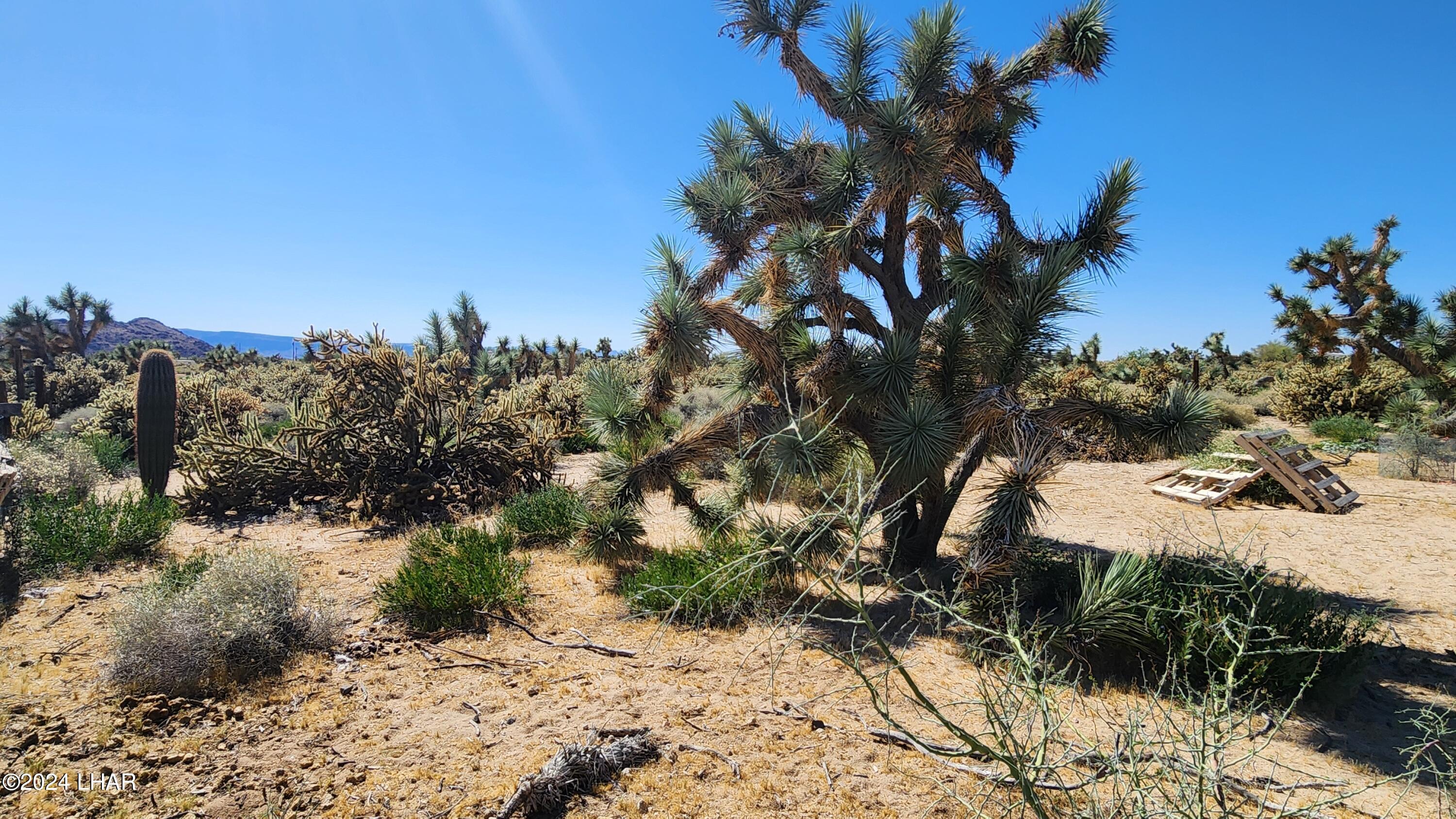 Lot 6 South Carrow Road Yucca, AZ 86438 - Photo 16 of 43 20240519_154144