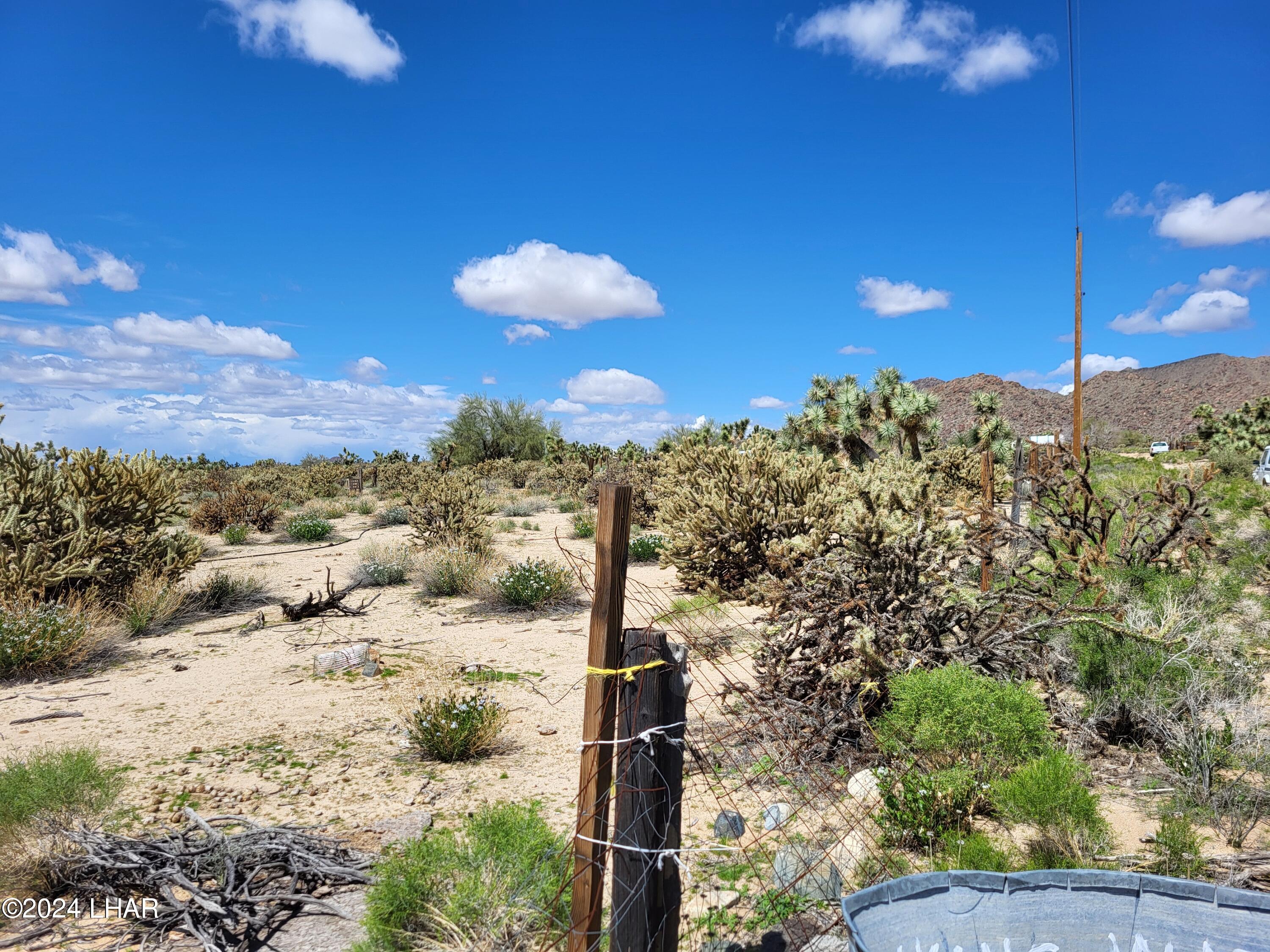 Lot 6 South Carrow Road Yucca, AZ 86438 - Photo 18 of 43 IMG_20240324_164542