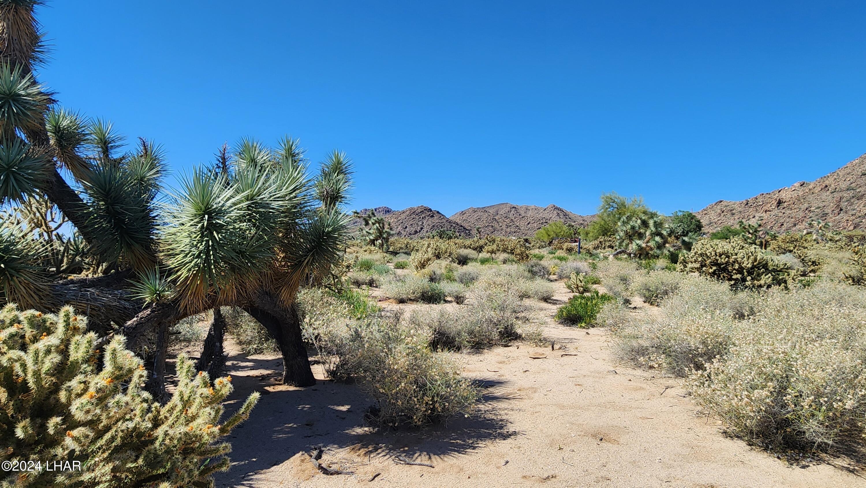 Lot 6 South Carrow Road Yucca, AZ 86438 - Photo 2 of 43 1.17 Acres on Carrow Rd
