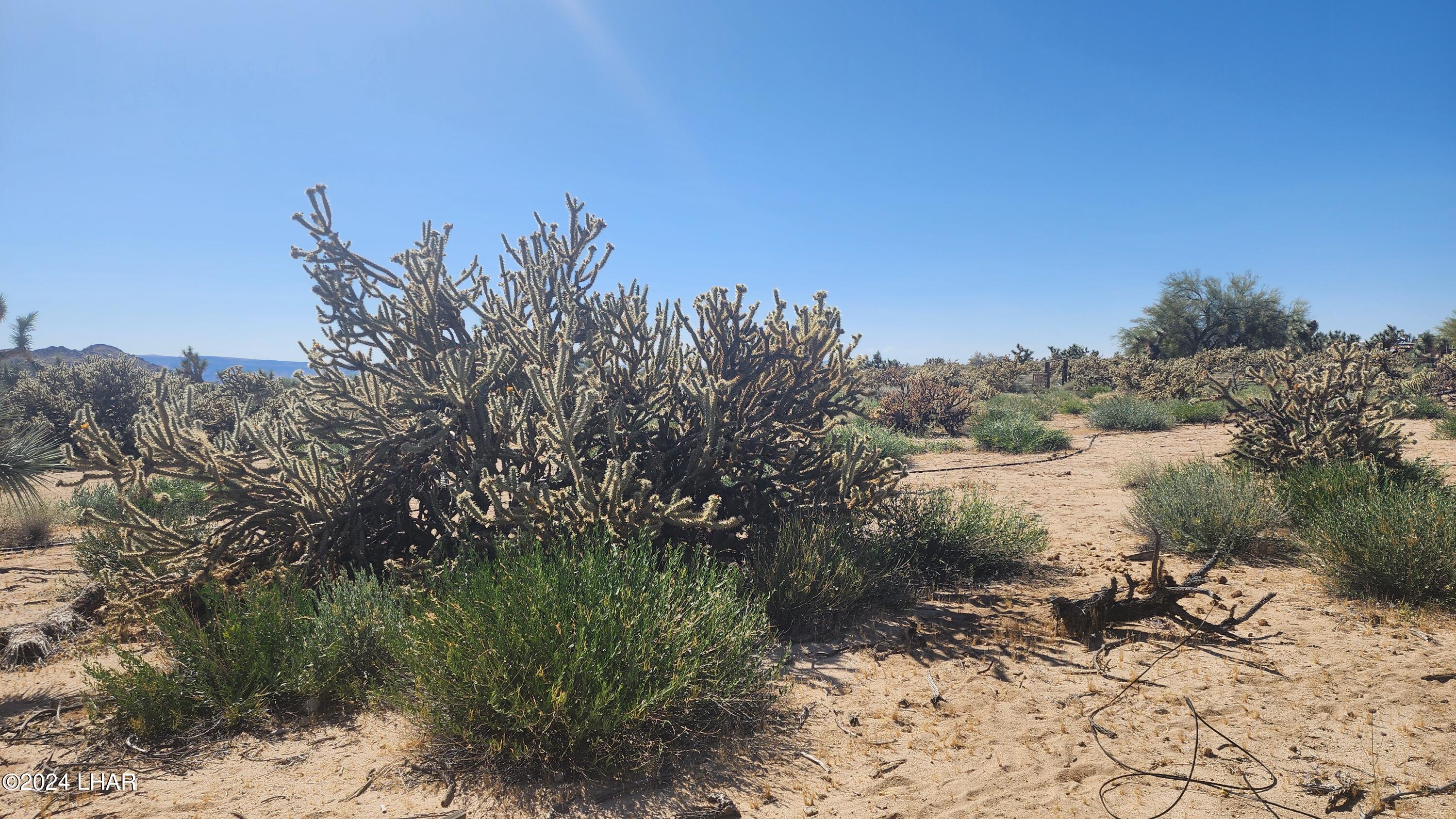 Lot 6 South Carrow Road Yucca, AZ 86438 - Photo 22 of 43 20240519_154013