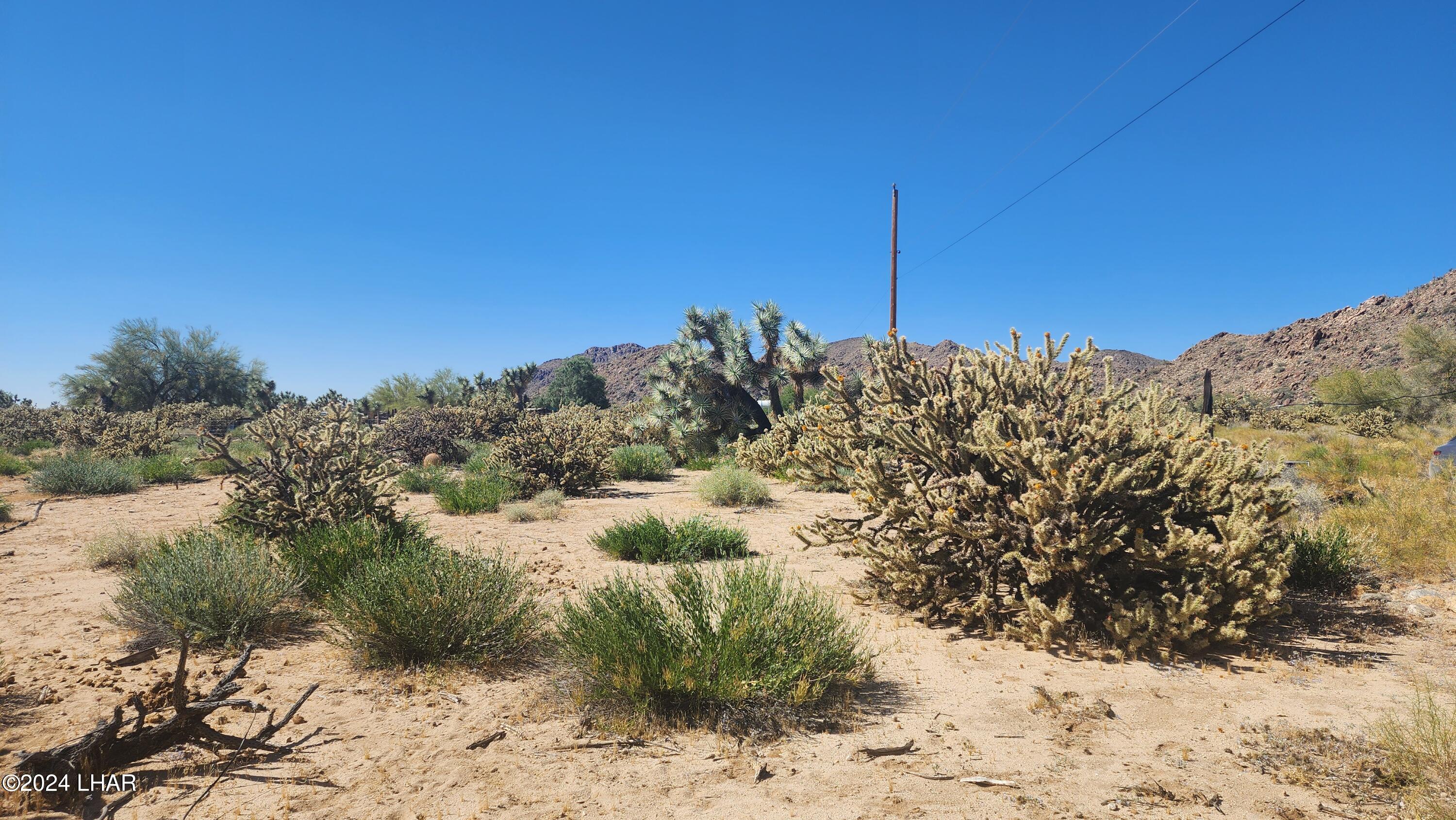 Lot 6 South Carrow Road Yucca, AZ 86438 - Photo 23 of 43 20240519_154023