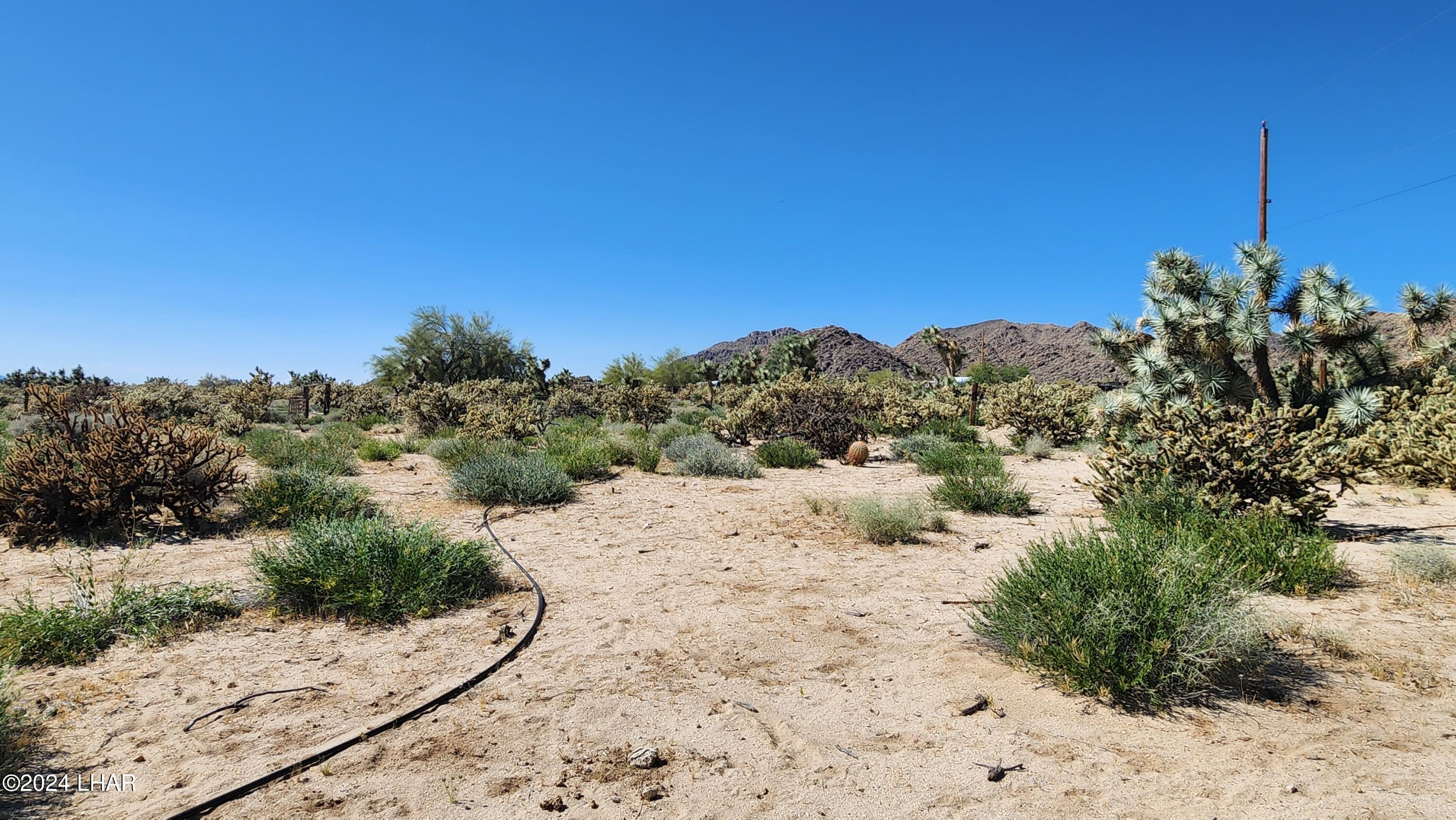 Lot 6 South Carrow Road Yucca, AZ 86438 - Photo 24 of 43 20240519_154059