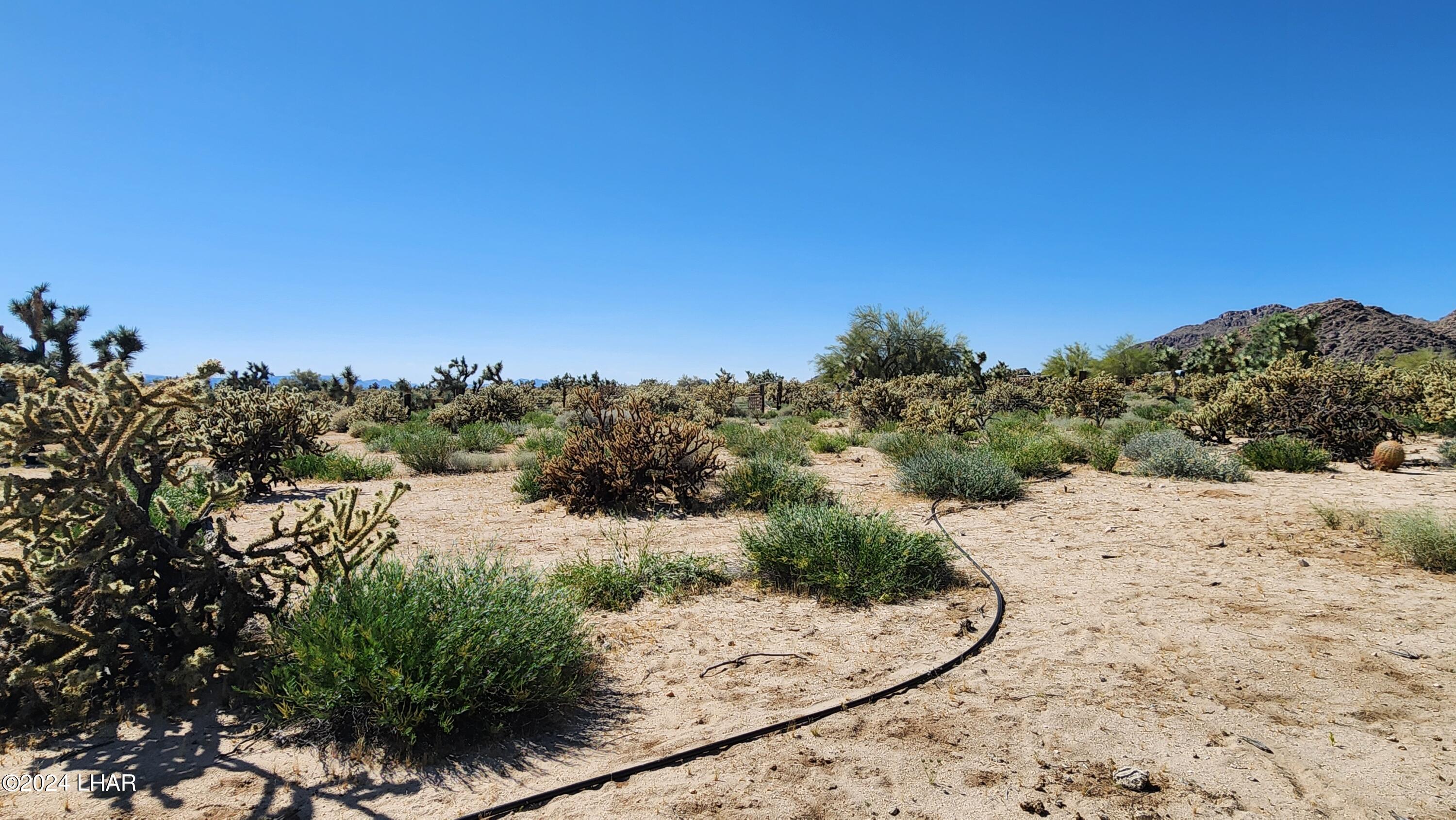 Lot 6 South Carrow Road Yucca, AZ 86438 - Photo 25 of 43 20240519_154102