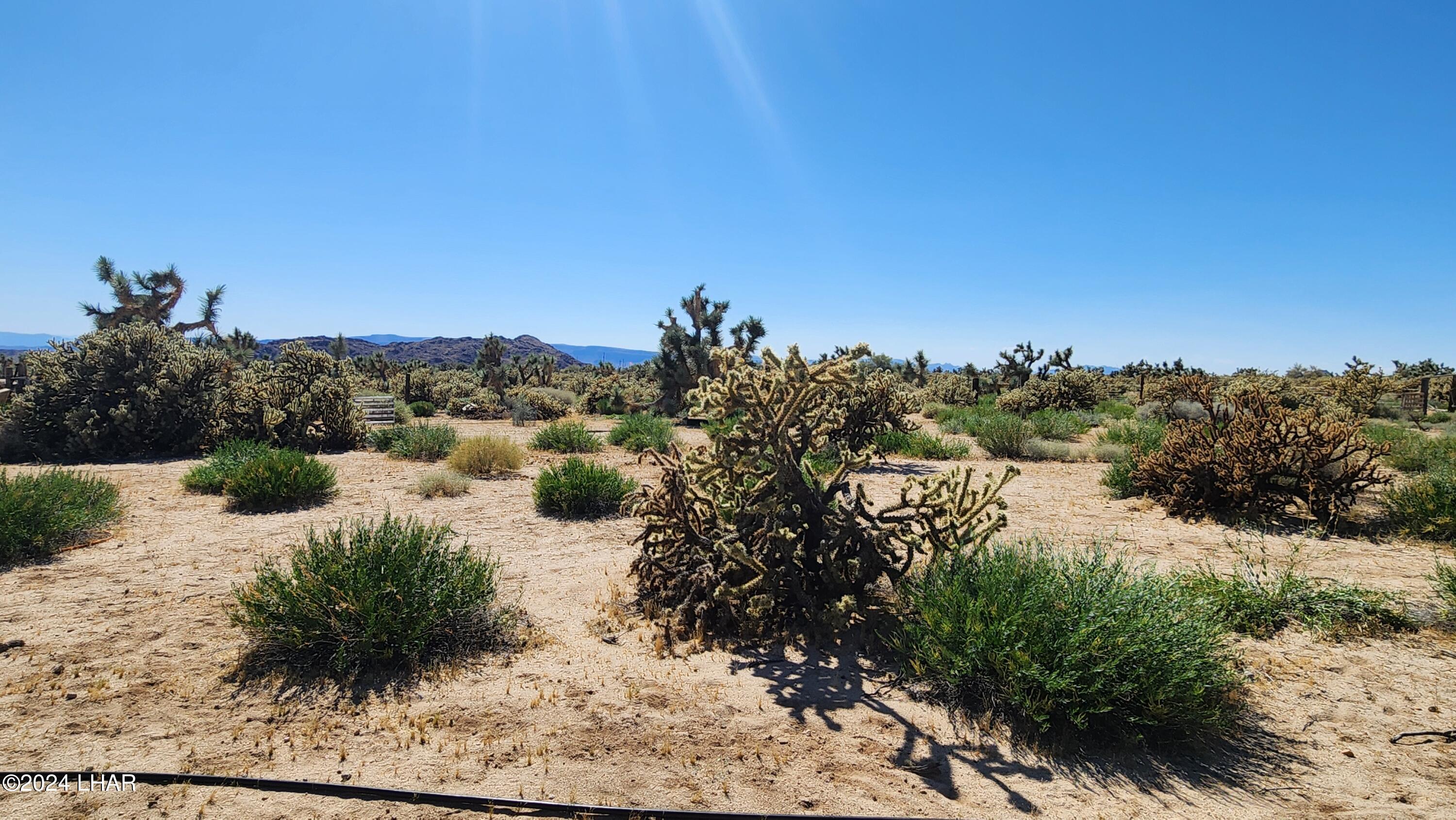 Lot 6 South Carrow Road Yucca, AZ 86438 - Photo 26 of 43 20240519_154105