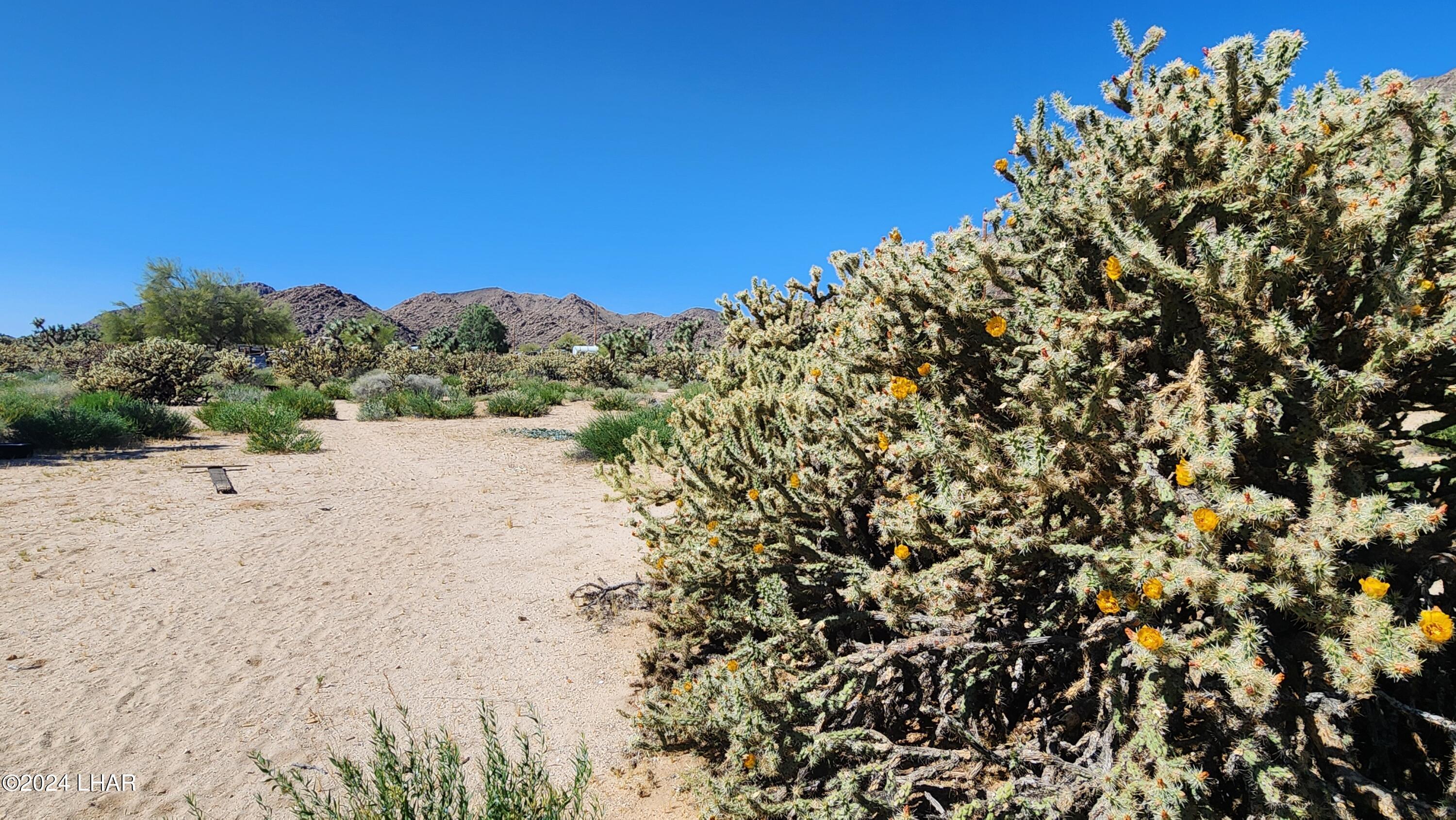 Lot 6 South Carrow Road Yucca, AZ 86438 - Photo 27 of 43 20240519_154209