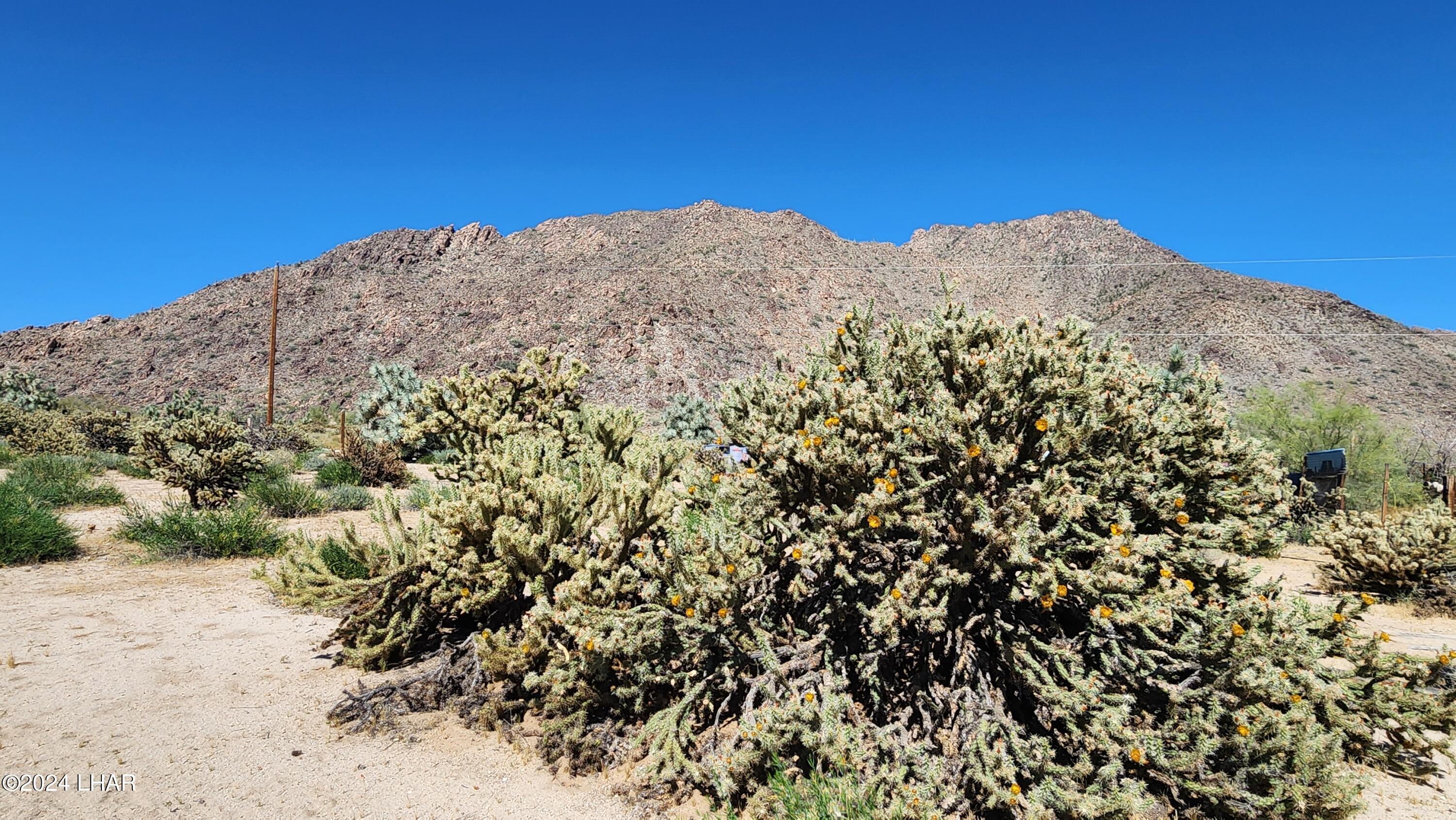 Lot 6 South Carrow Road Yucca, AZ 86438 - Photo 28 of 43 20240519_154221