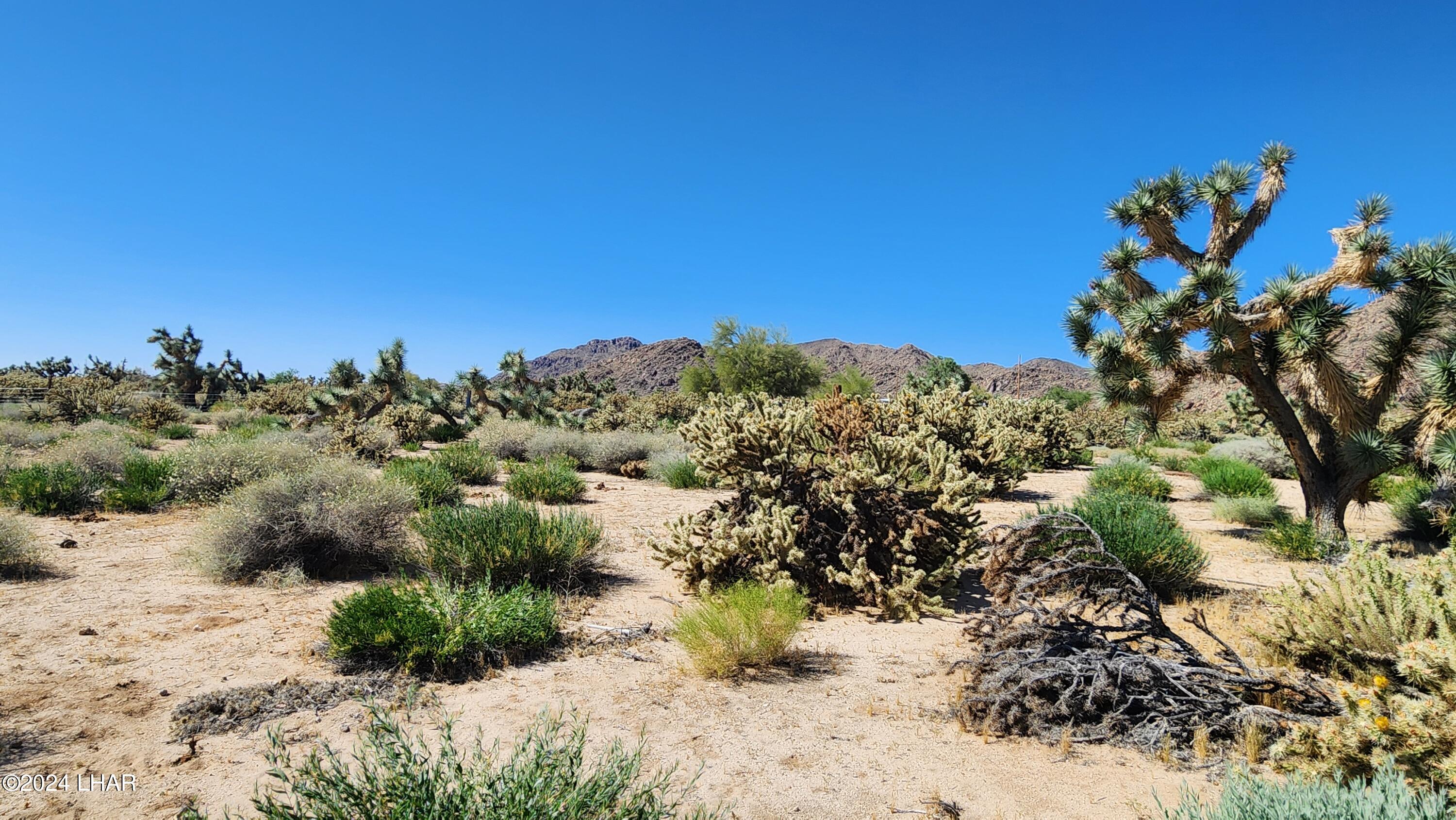 Lot 6 South Carrow Road Yucca, AZ 86438 - Photo 29 of 43 20240519_154239