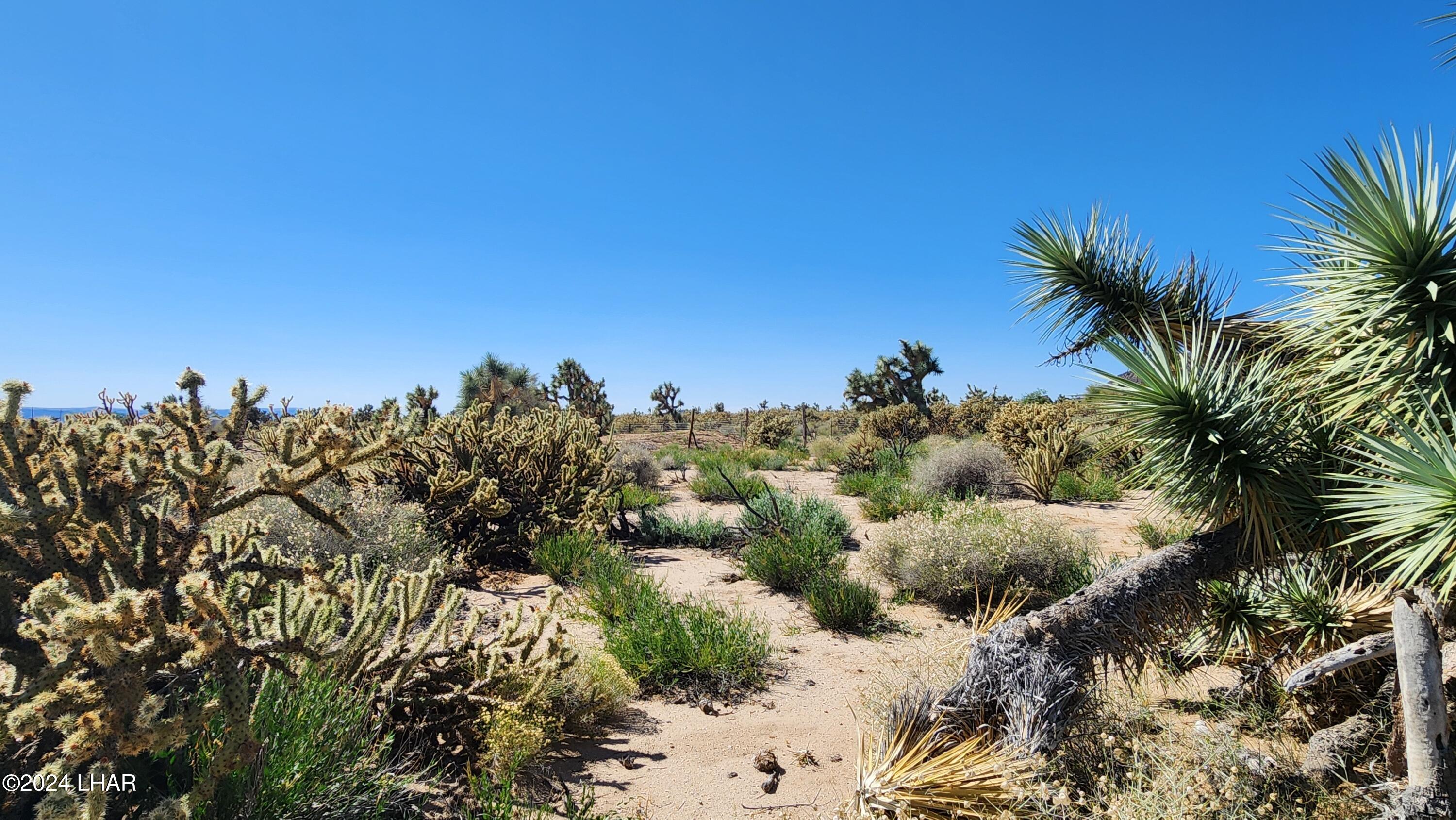 Lot 6 South Carrow Road Yucca, AZ 86438 - Photo 30 of 43 20240519_154321