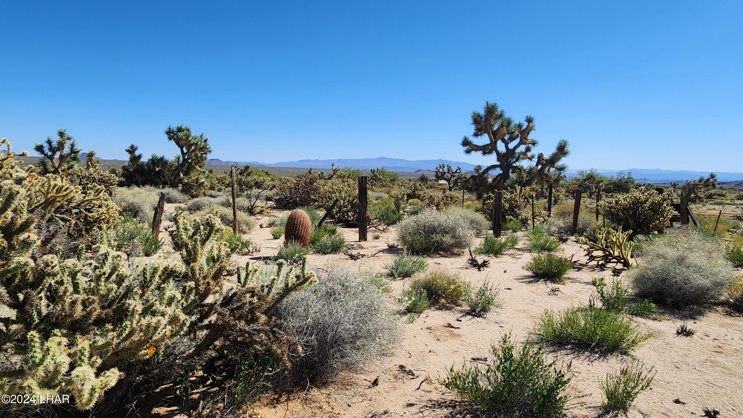 Lot 6 South Carrow Road Yucca, AZ 86438 - Photo 3 of 43 Lovely natural landscape