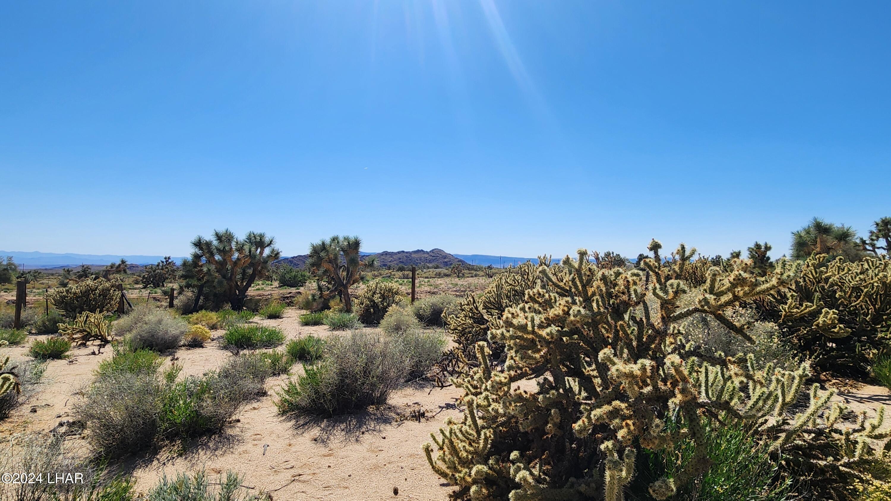 Lot 6 South Carrow Road Yucca, AZ 86438 - Photo 31 of 43 20240519_154324