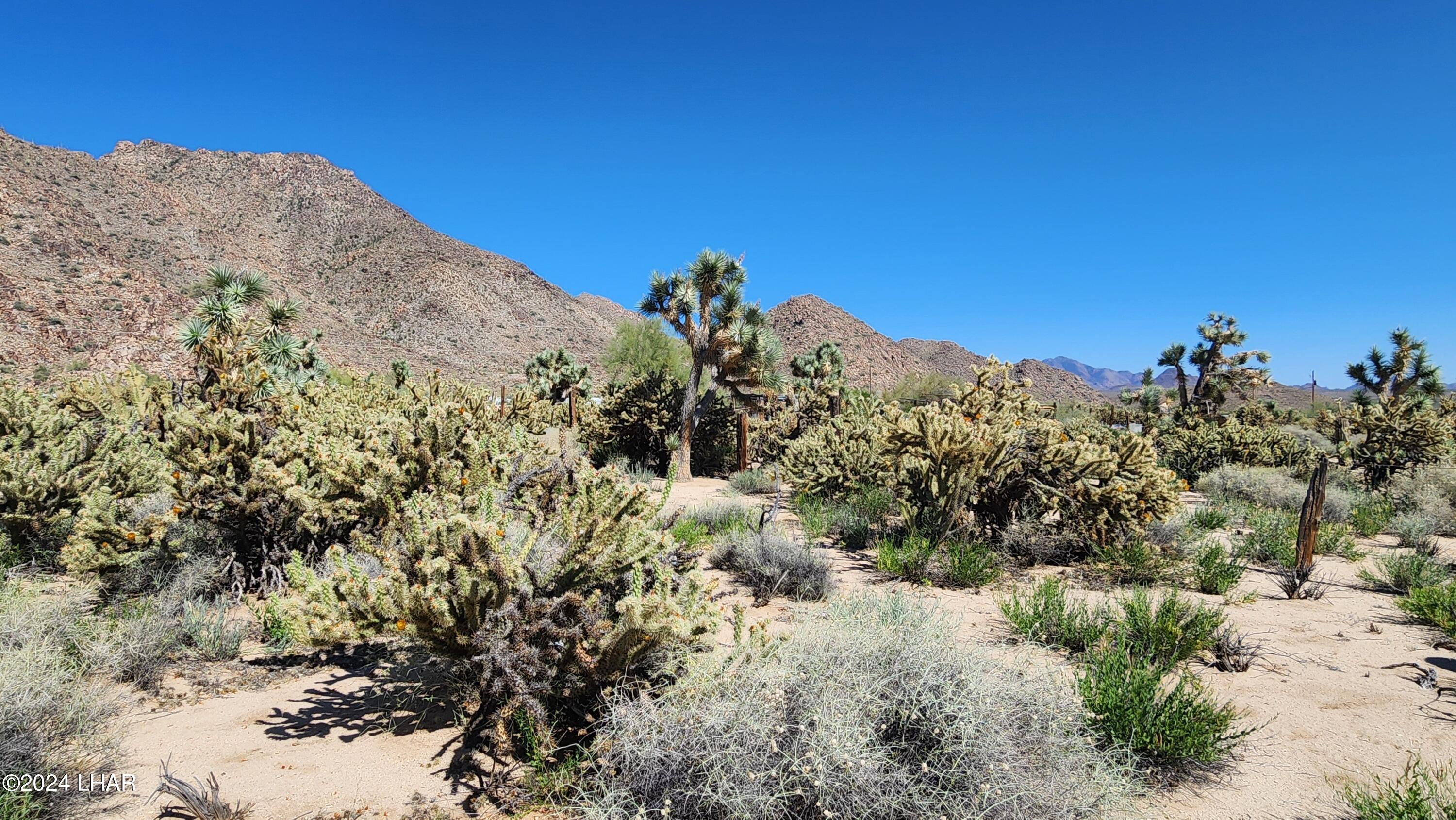 Lot 6 South Carrow Road Yucca, AZ 86438 - Photo 32 of 43 20240519_154347