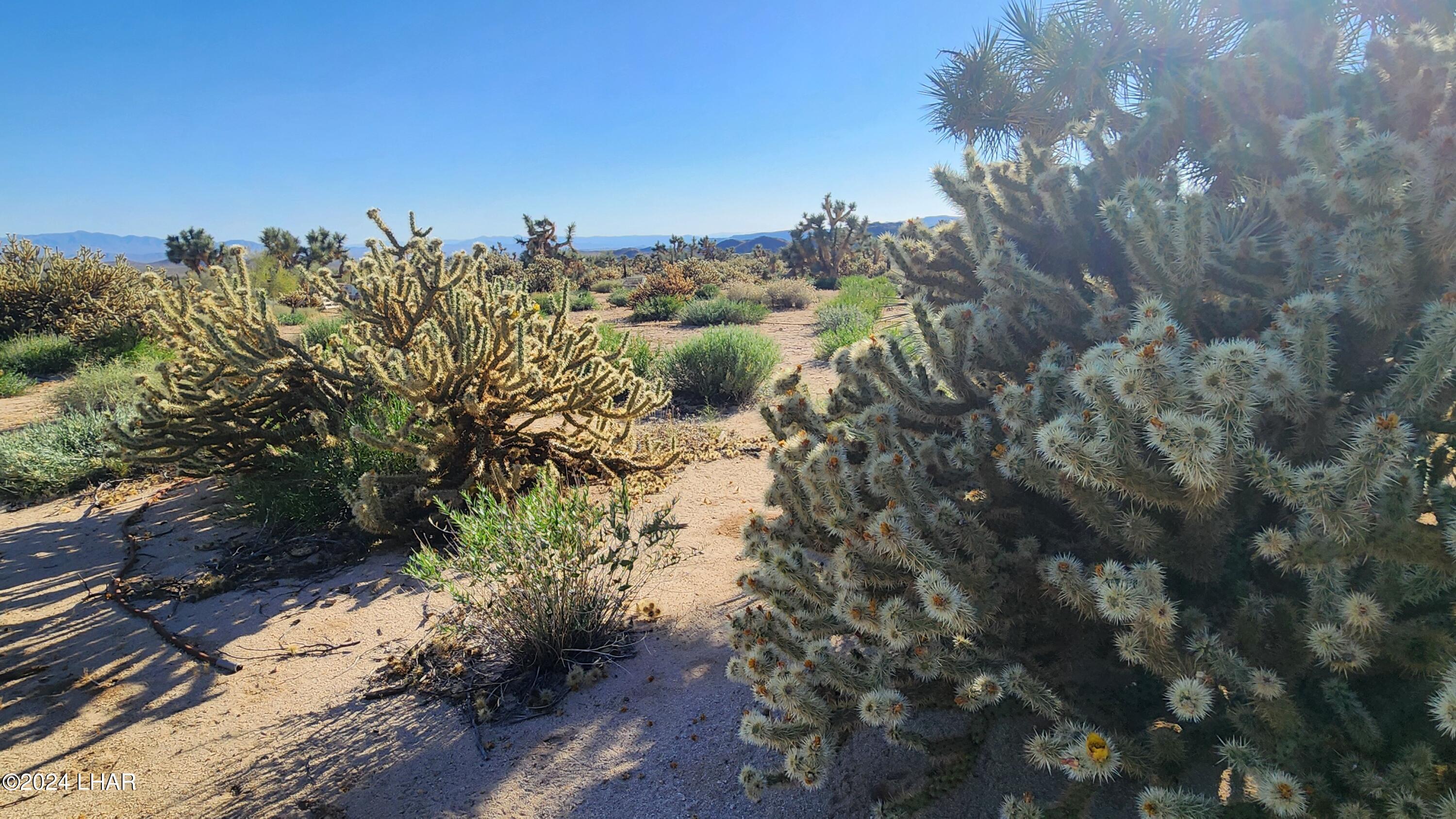 Lot 6 South Carrow Road Yucca, AZ 86438 - Photo 40 of 43 20240519_171956