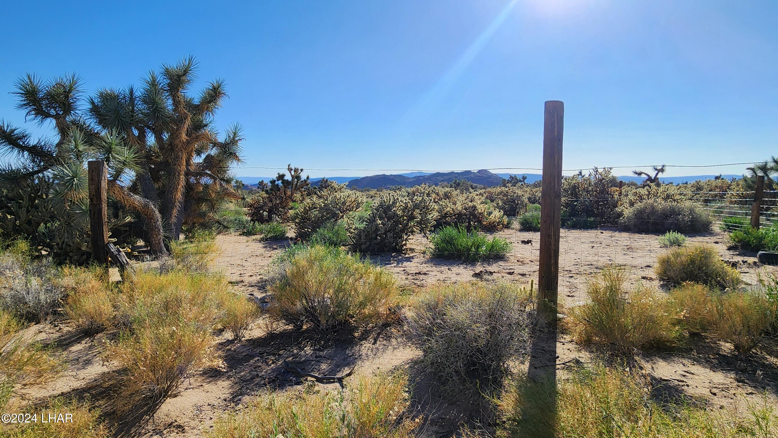 Lot 6 South Carrow Road Yucca, AZ 86438 - Photo 4 of 43 Fenced yard