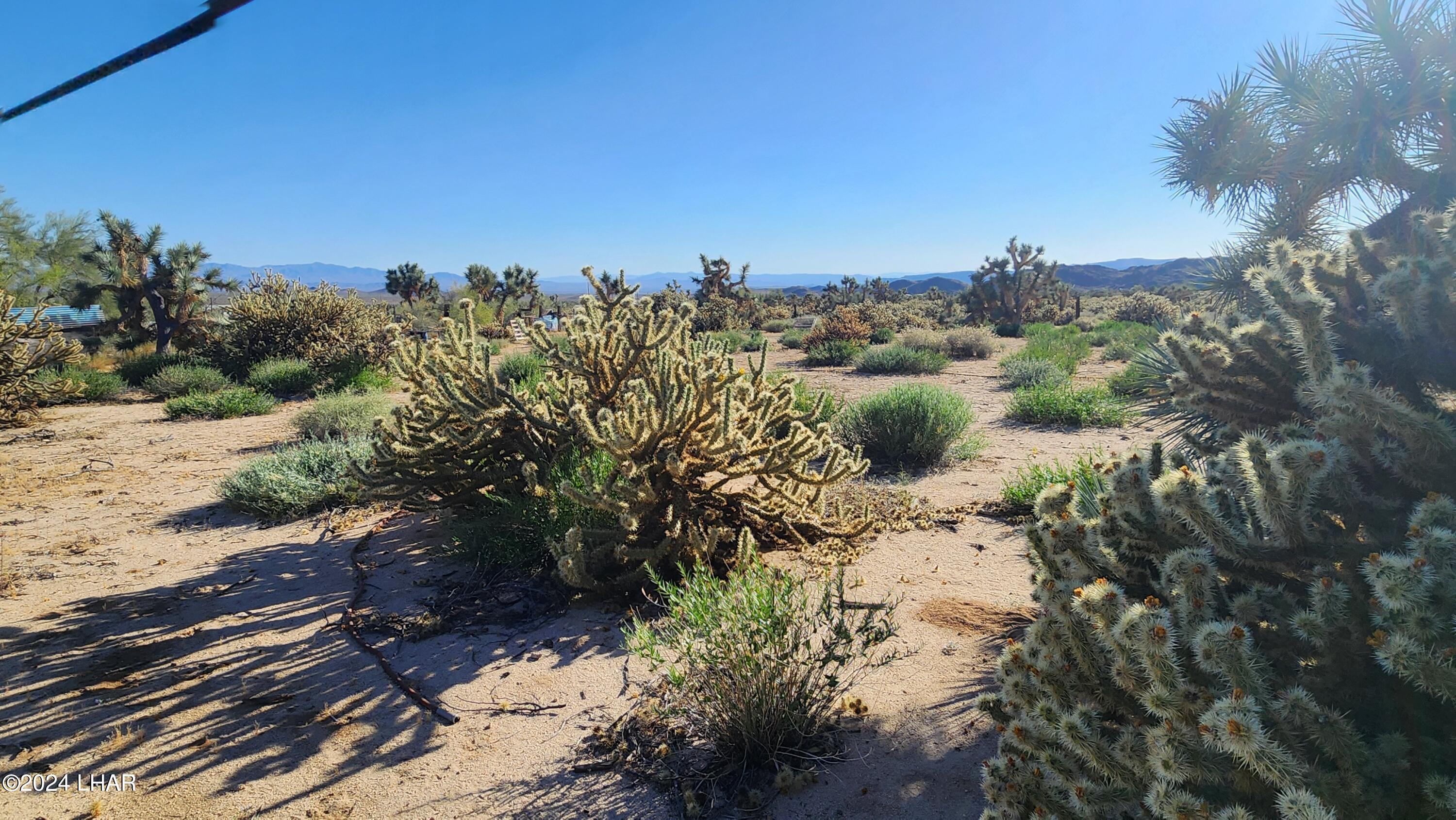 Lot 6 South Carrow Road Yucca, AZ 86438 - Photo 41 of 43 20240519_172001