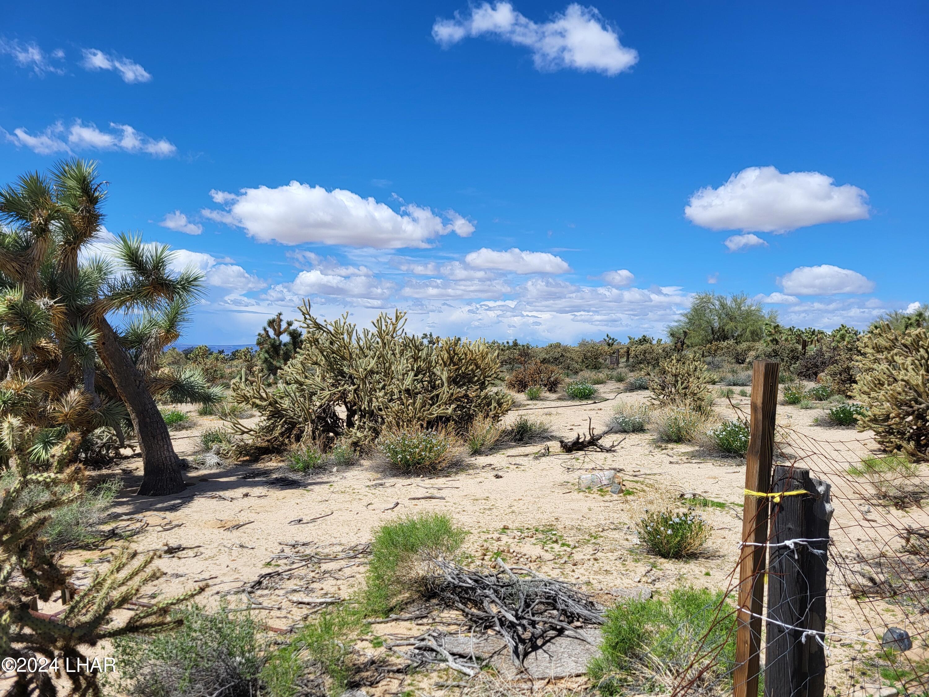 Lot 6 South Carrow Road Yucca, AZ 86438 - Photo 5 of 43 Lot 6 Carrow