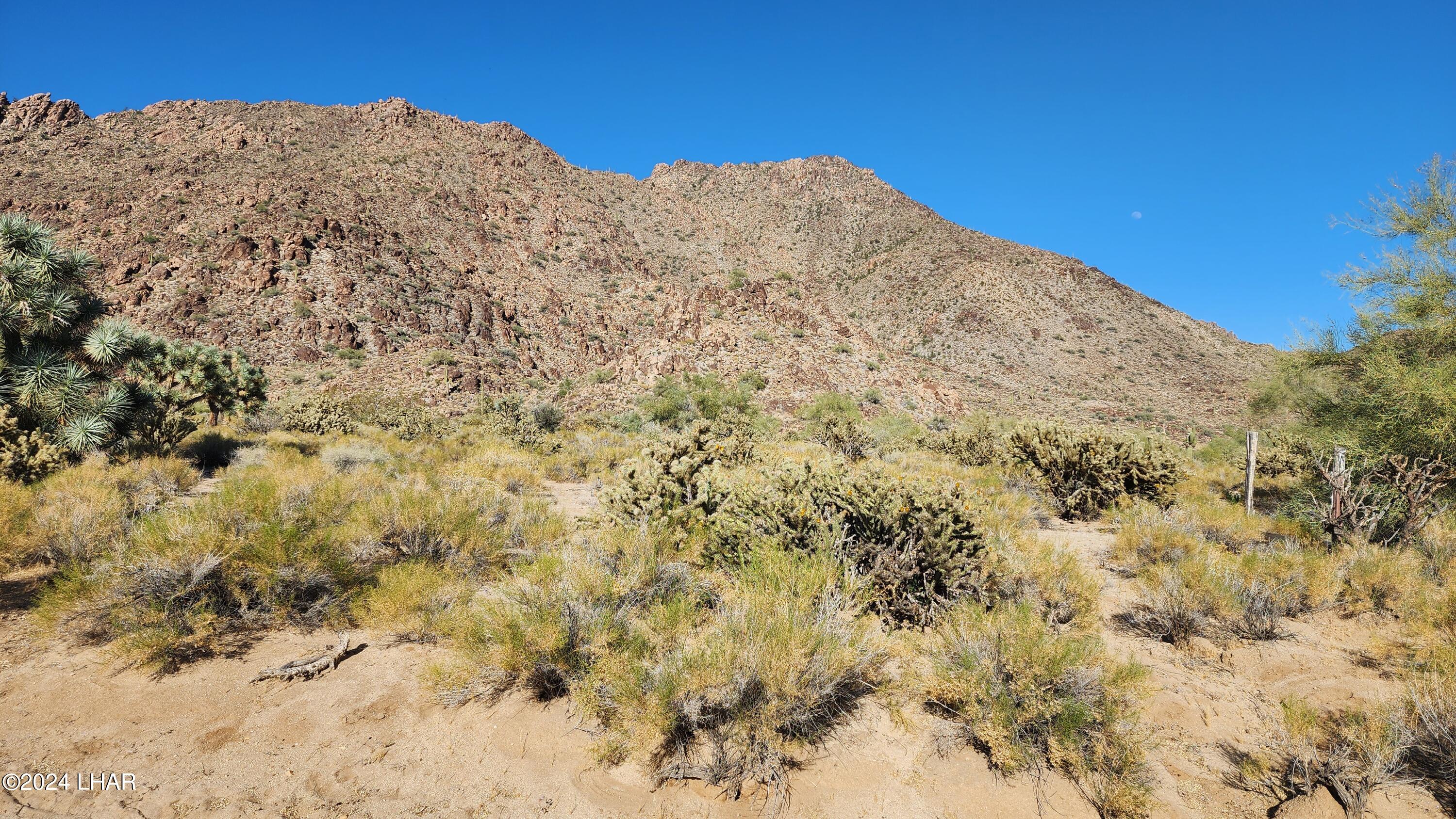 Lot 6 South Carrow Road Yucca, AZ 86438 - Photo 7 of 43 View across the street