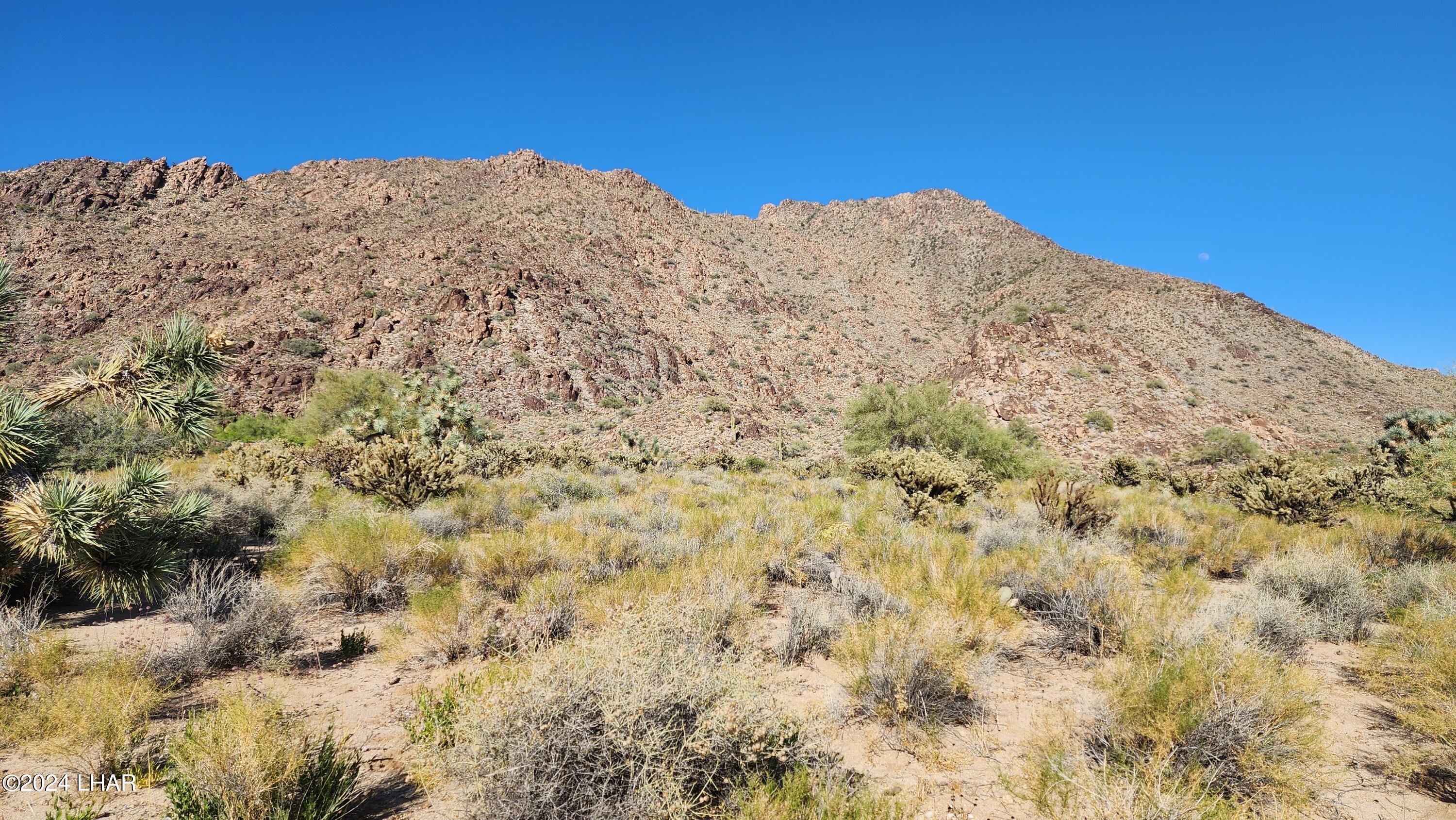 Lot 6 South Carrow Road Yucca, AZ 86438 - Photo 8 of 43 View across the street